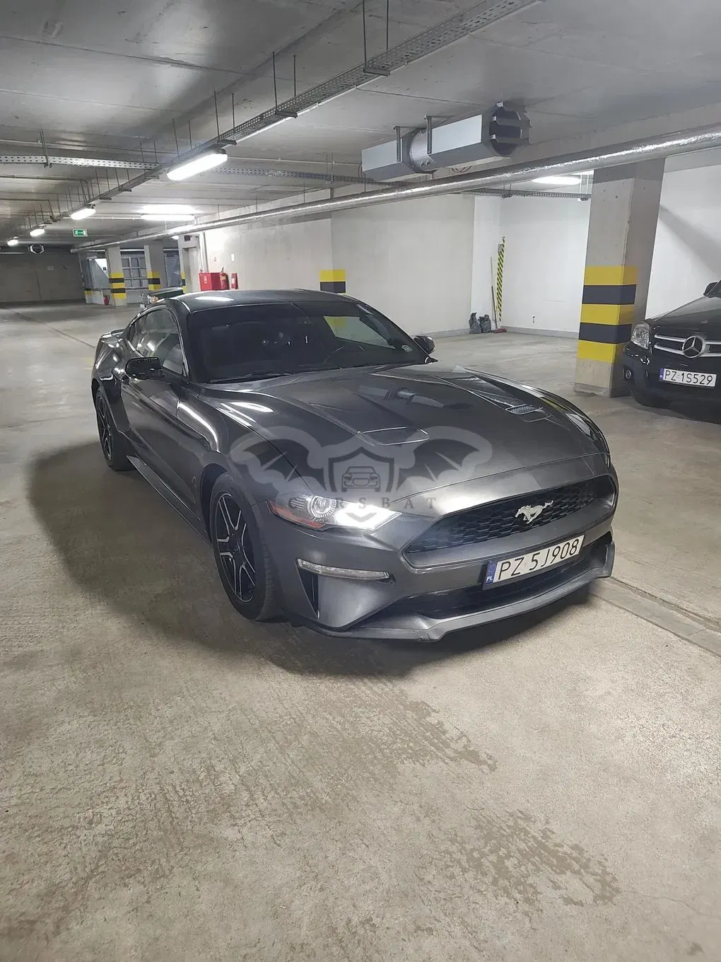 Ford Mustang 2019