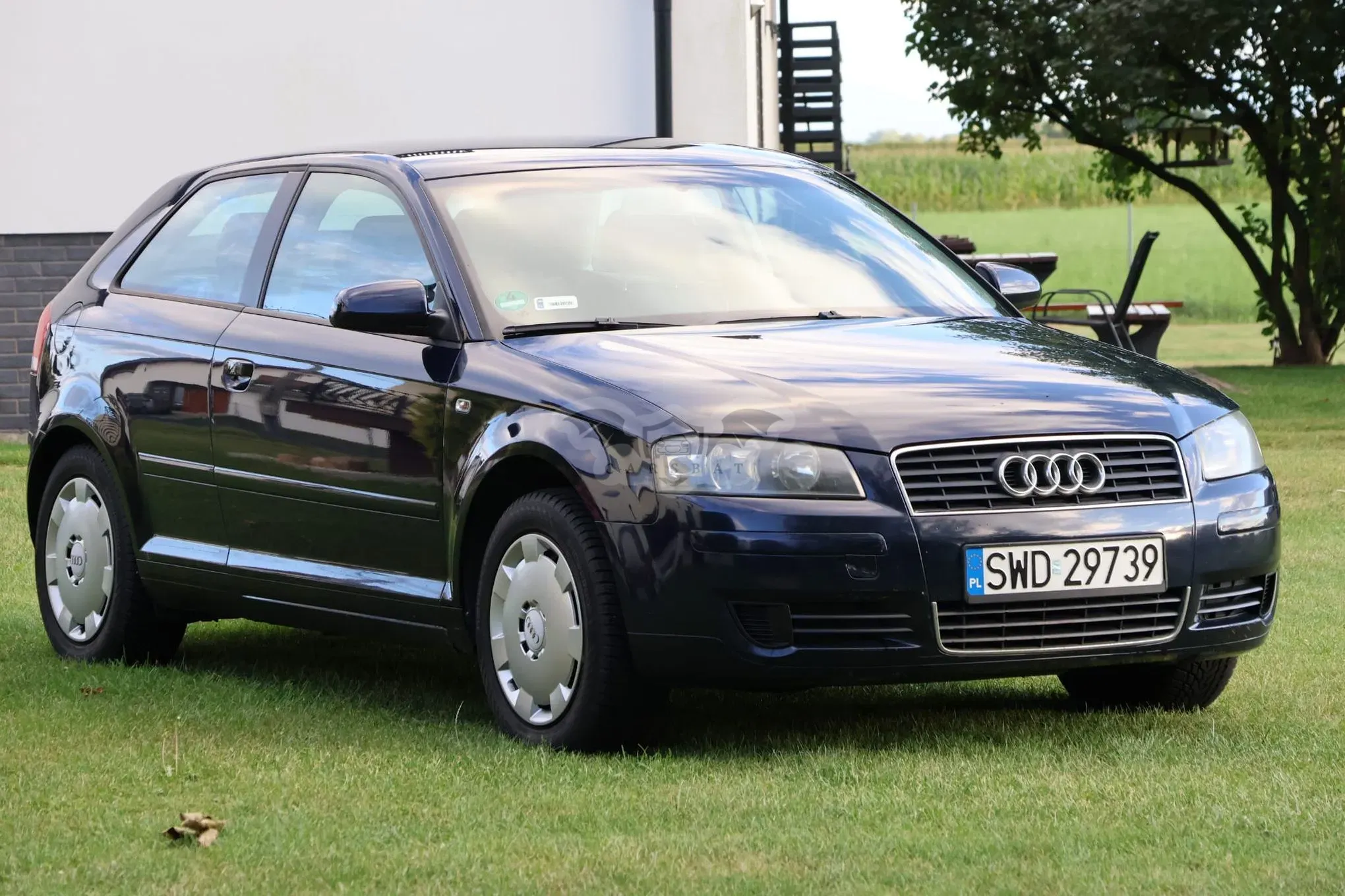 Audi A3 8P (2003-2012) 1.6 Attraction 2004