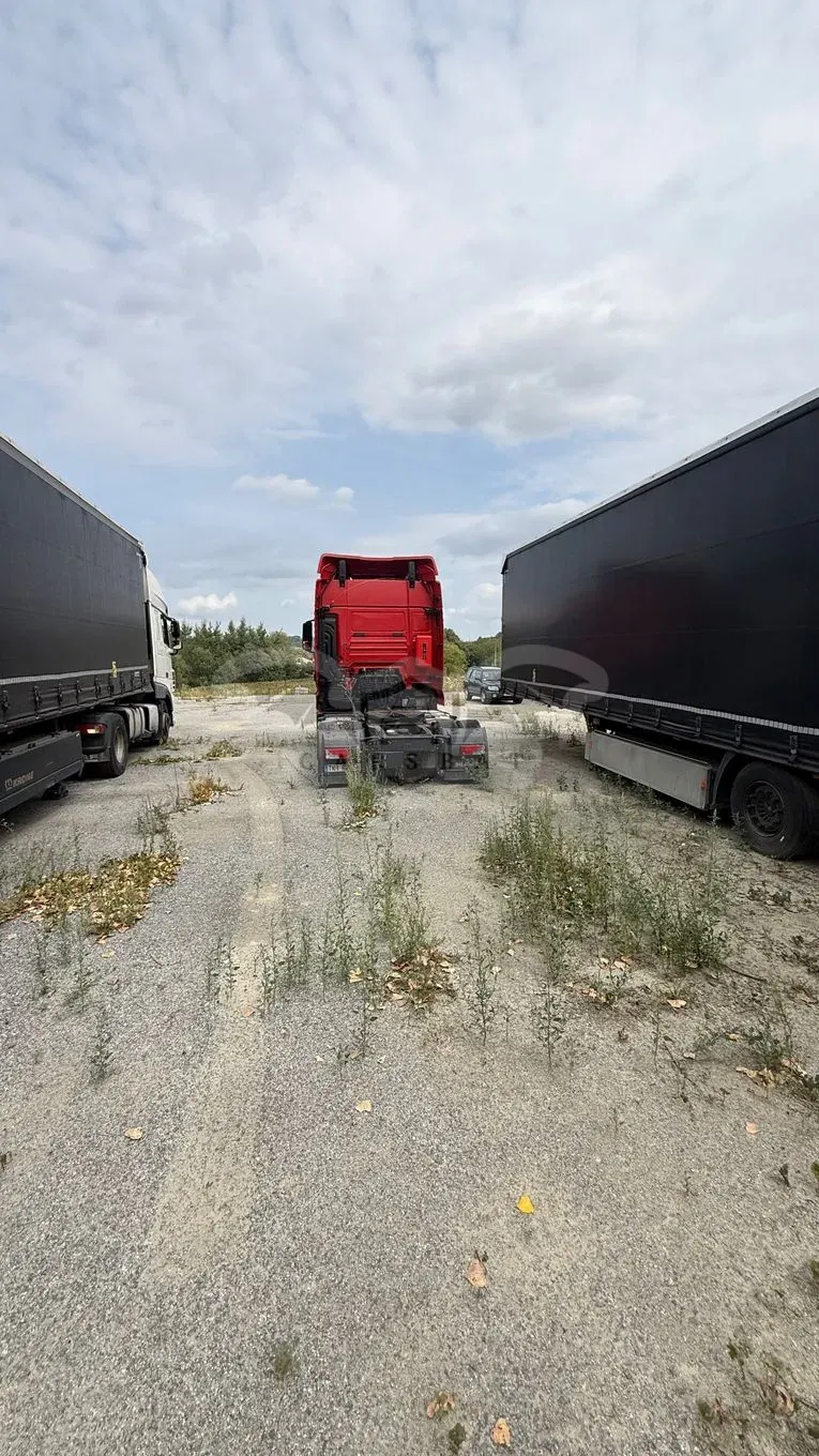 MAN TGX 2017