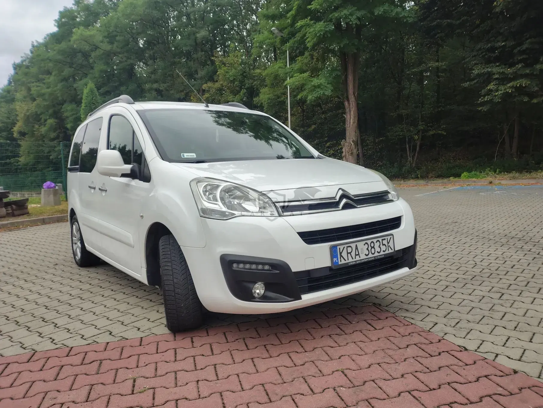 Citroën Berlingo II (2008-2018) Multispace BlueHDi 100 FEEL 2017