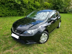 Seat Ibiza IV (2008-2017) 2013