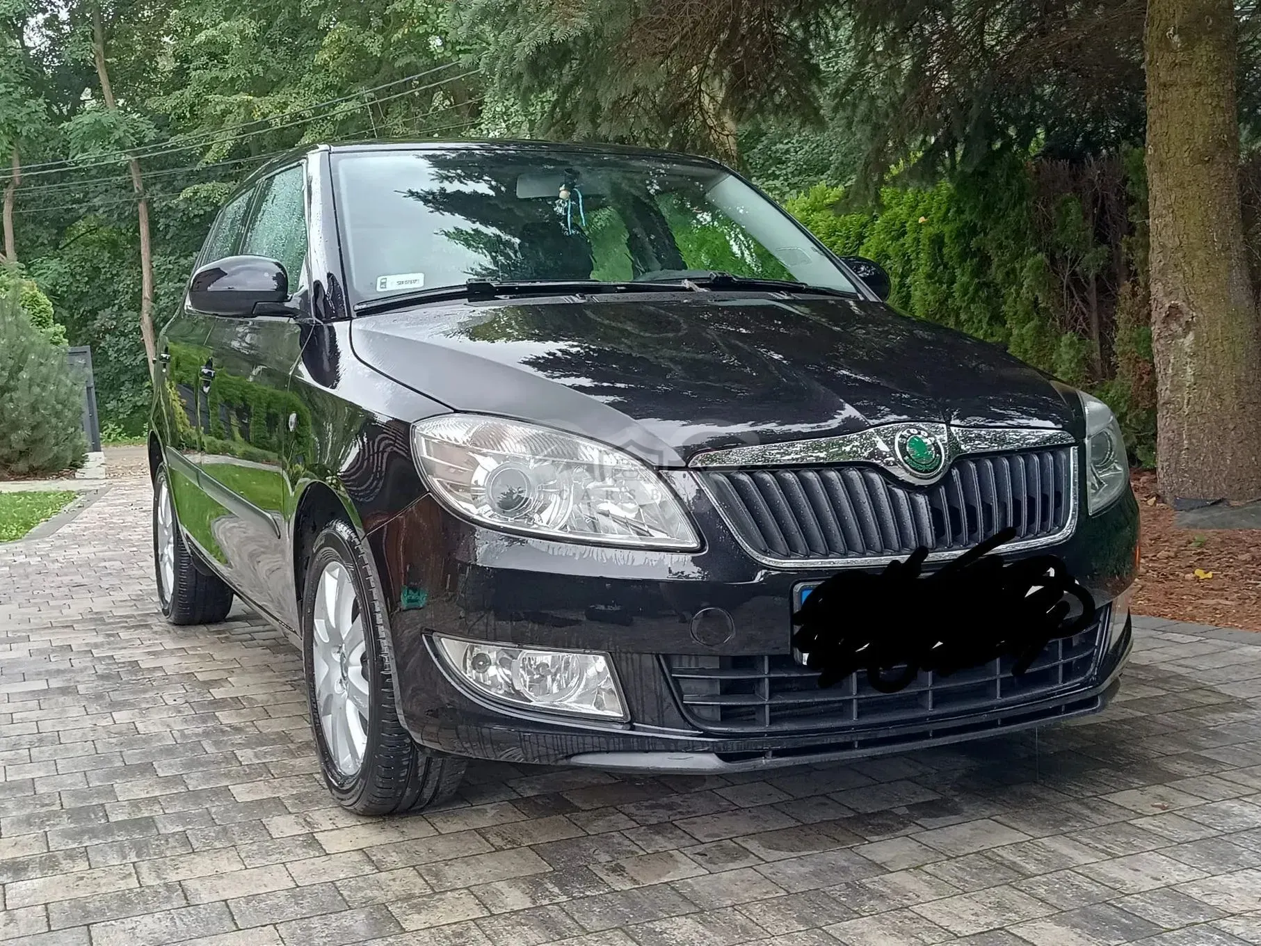 Skoda Fabia II (2007-2014) 1.6 TDI DPF Classic 2010