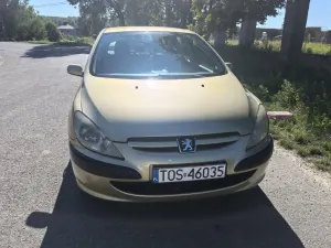 Peugeot 307 I (2001-2005) 2004