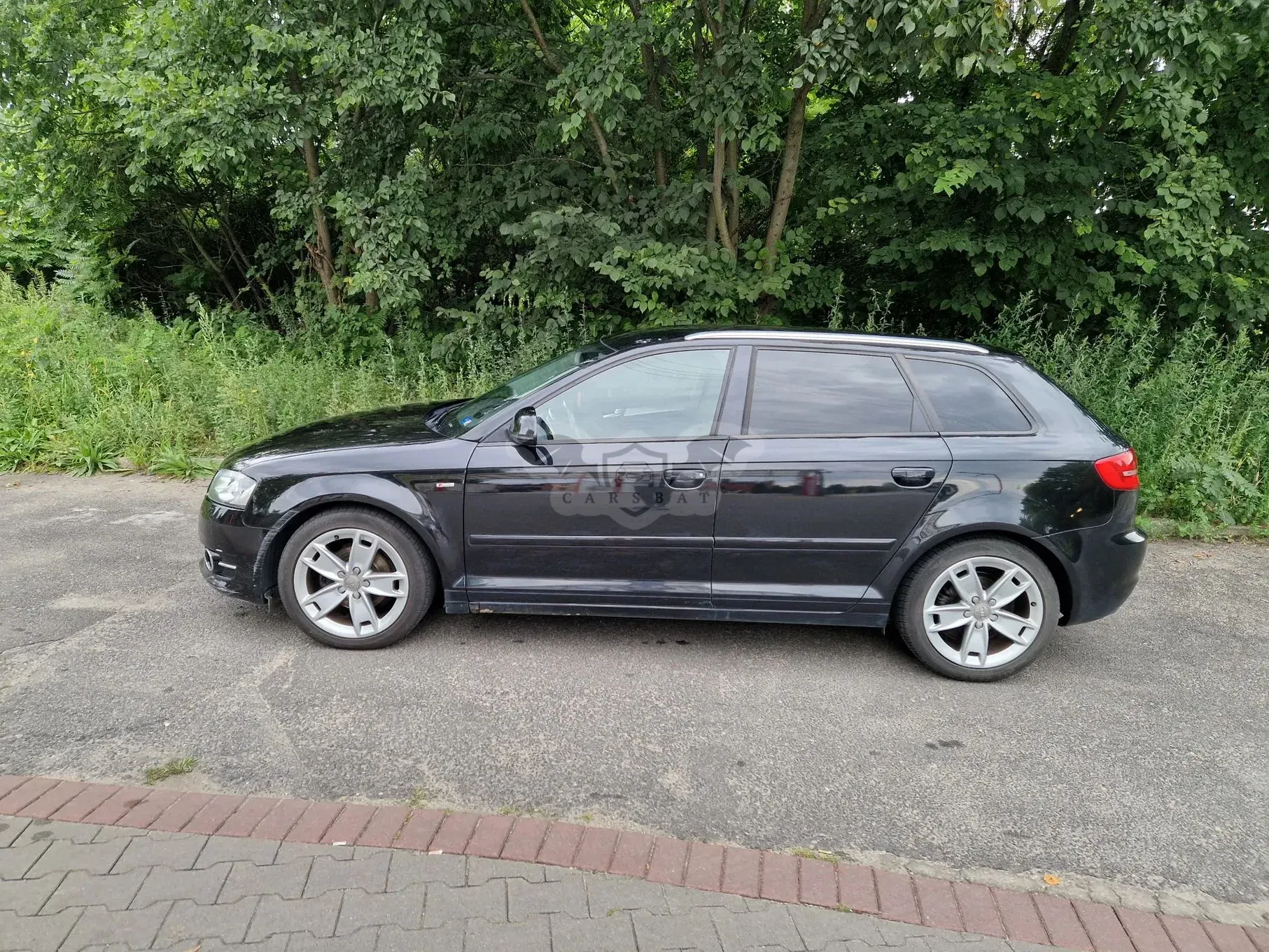 Audi A3 8P (2003-2012) 1.6 TDI DPF Ambition 2010