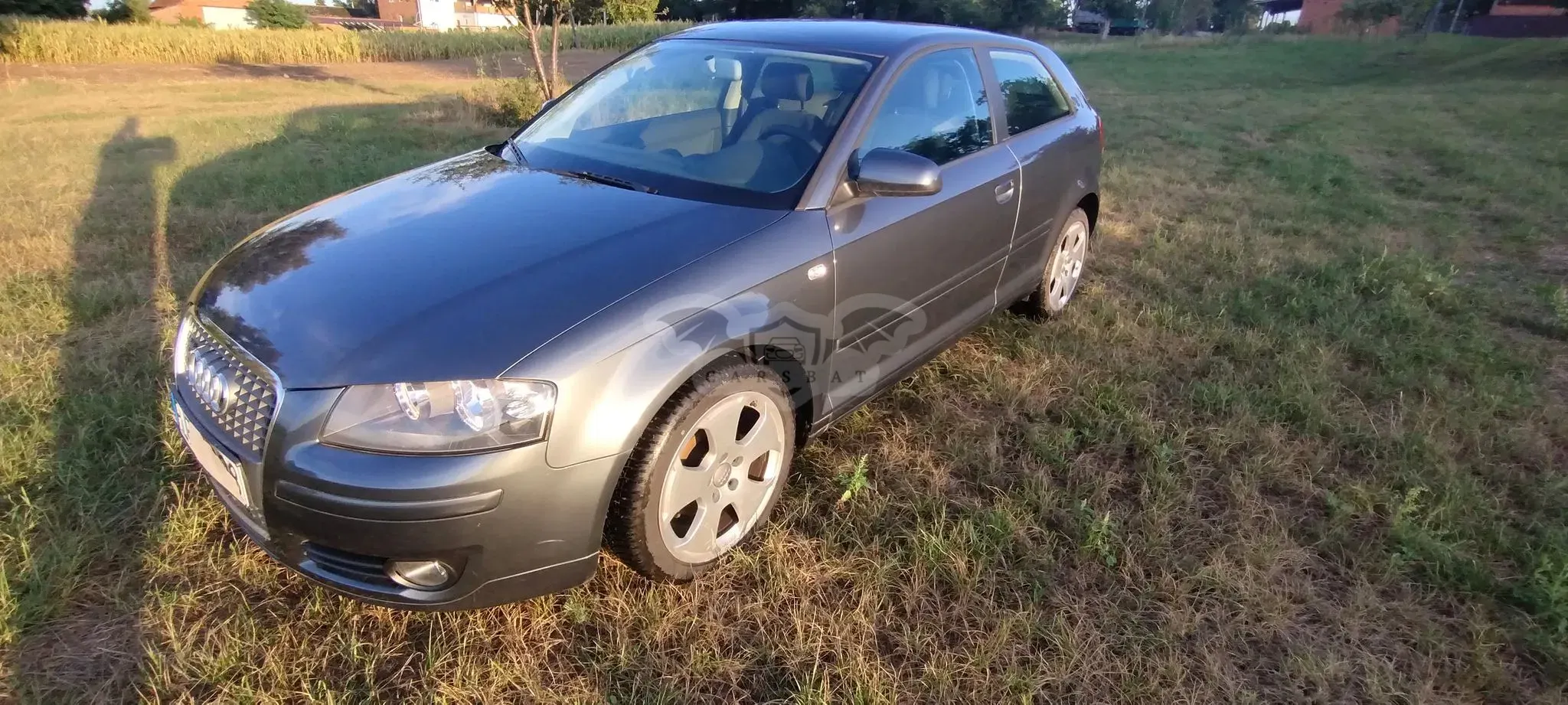 Audi A3 8P (2003-2012) 1.6 Attraction 2006