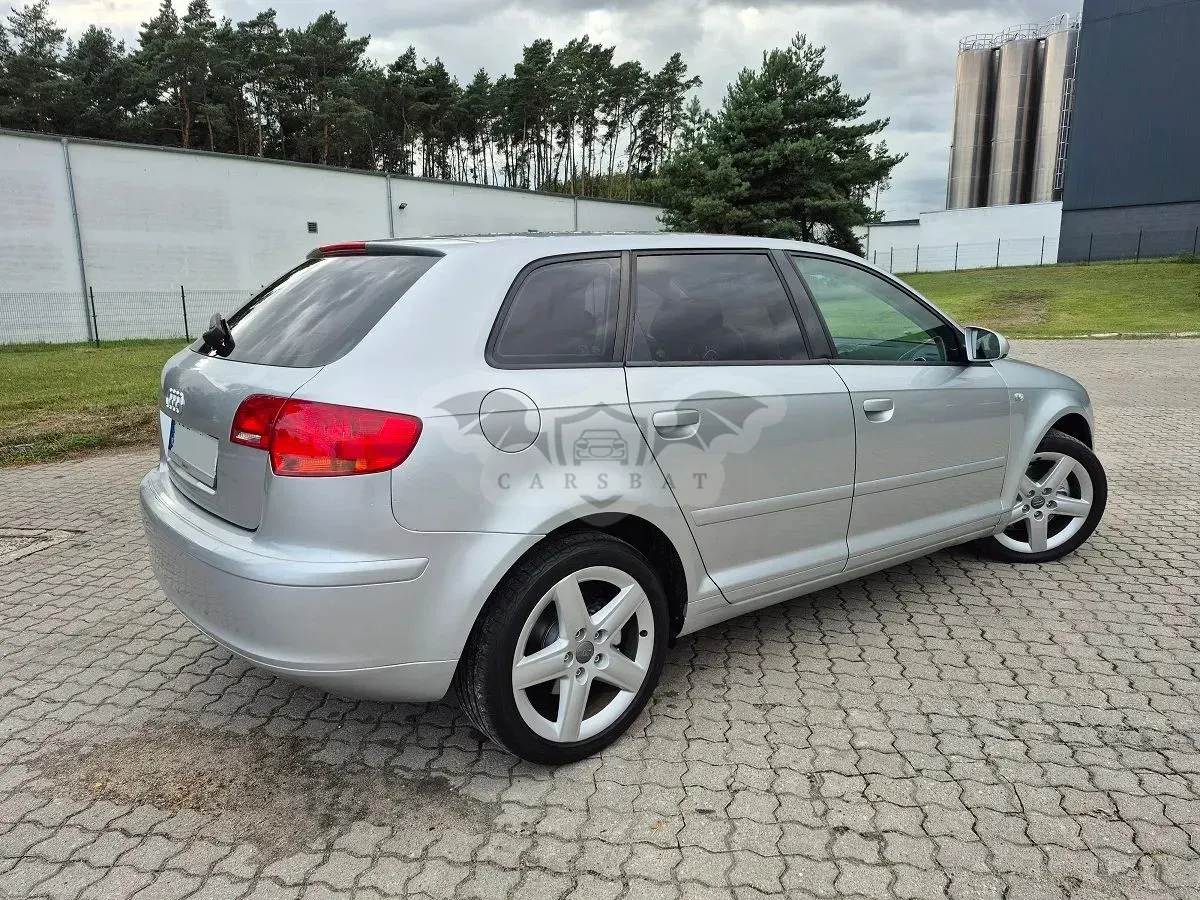 Audi A3 8P (2003-2012) 2.0 TDI DPF quattro Ambition 2006