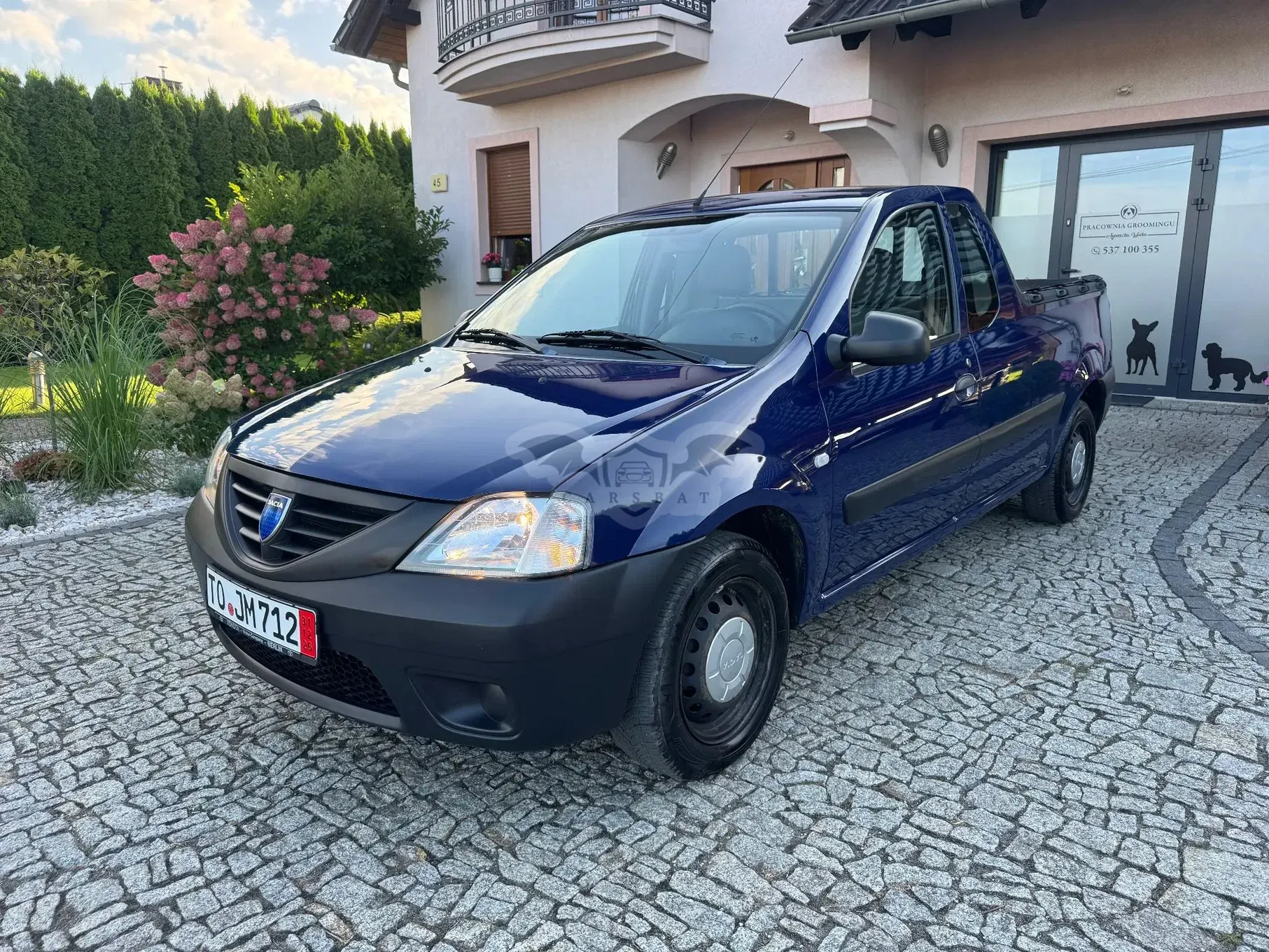 Dacia Pick-Up 2009