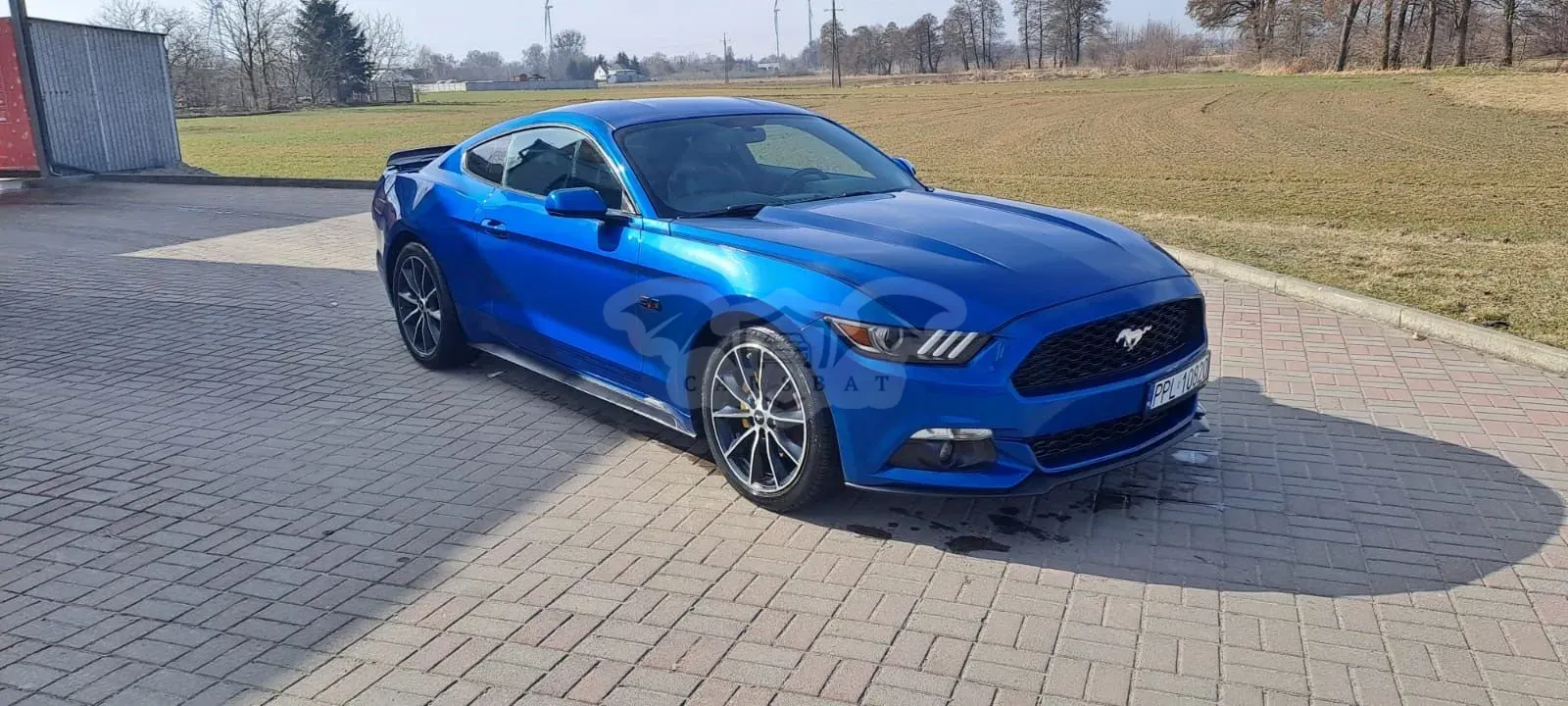 Ford Mustang 2.3 Eco Boost 2017
