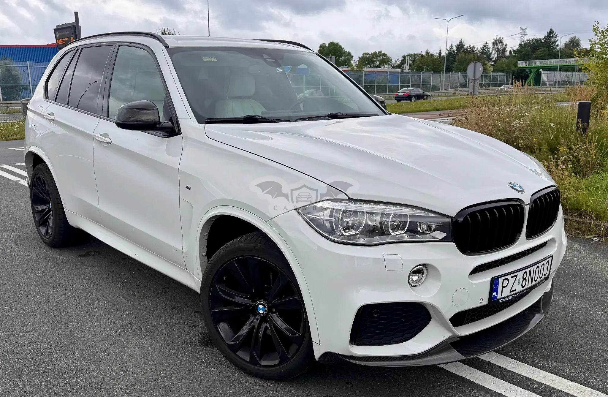BMW X5 F15 (2013-2018) xDrive25d 2016