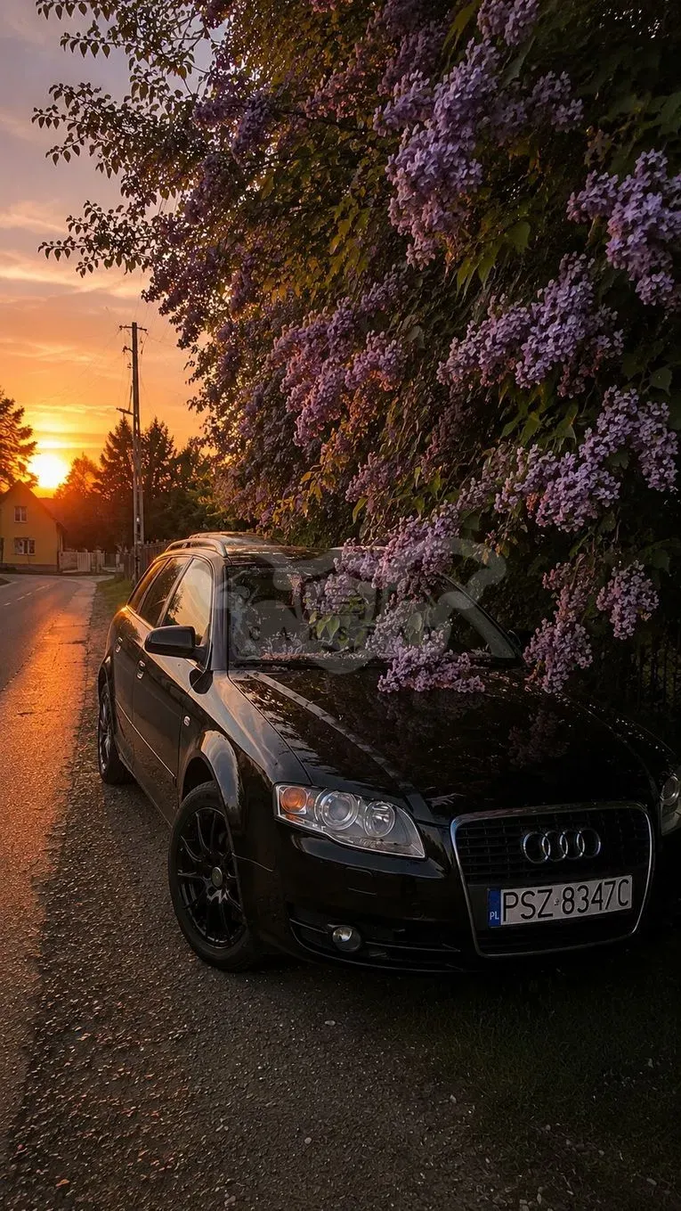 Audi A4 B7 (2004-2007) 2004