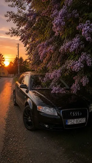 Audi A4 B7 (2004-2007) 2004