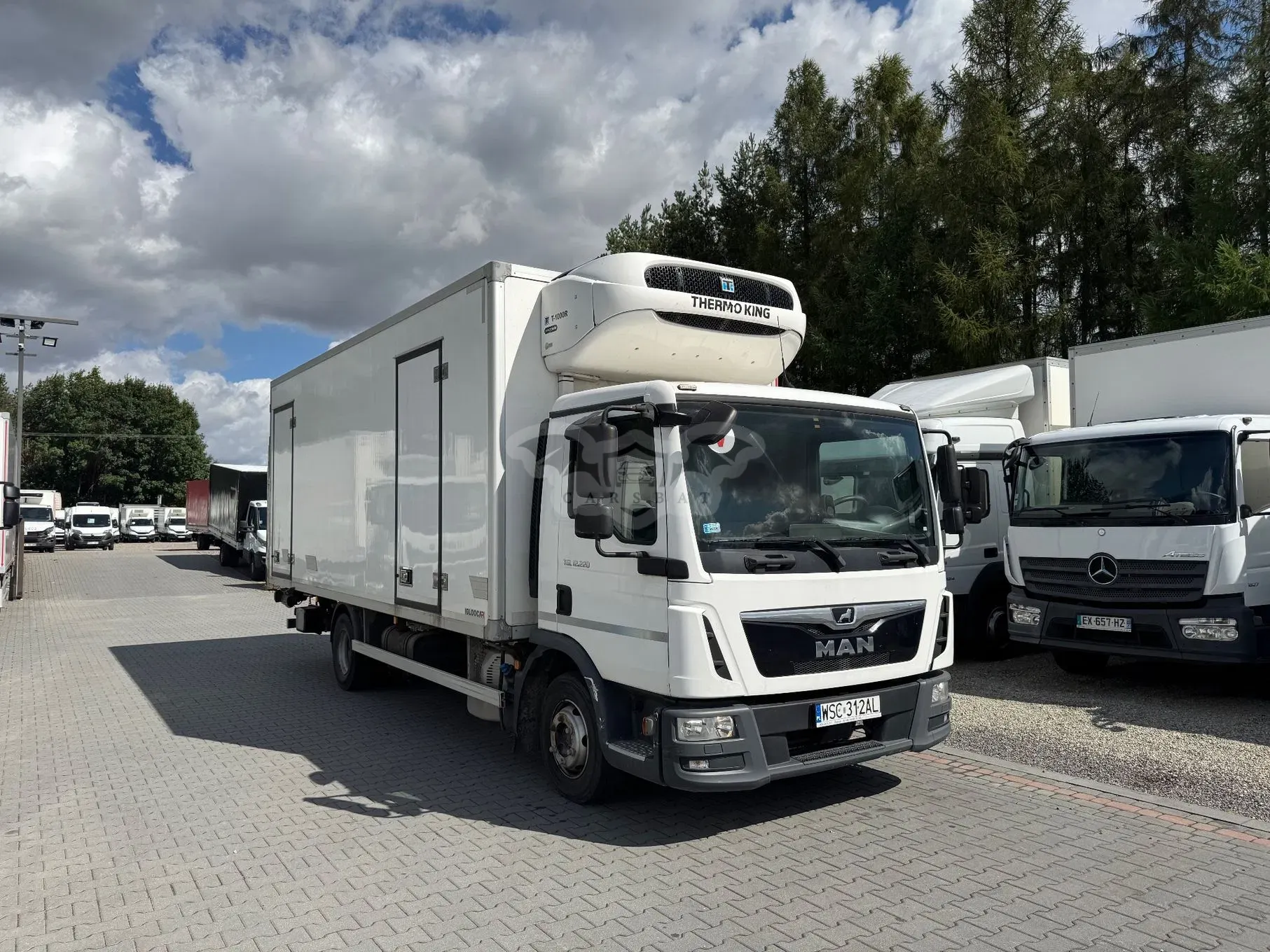MAN TGL 2019