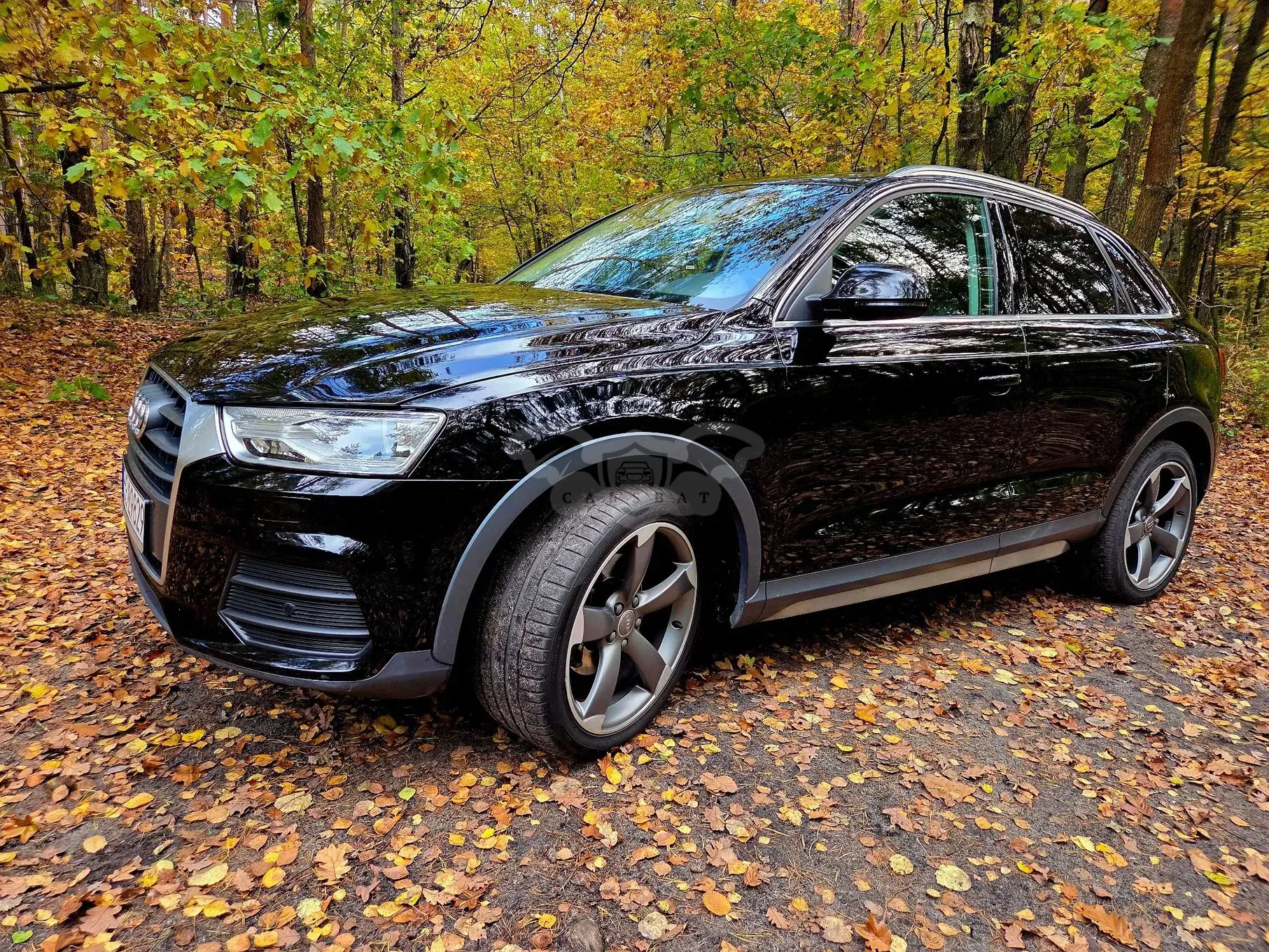 Audi Q3 I (2011-2018) 2.0 TDI 2015