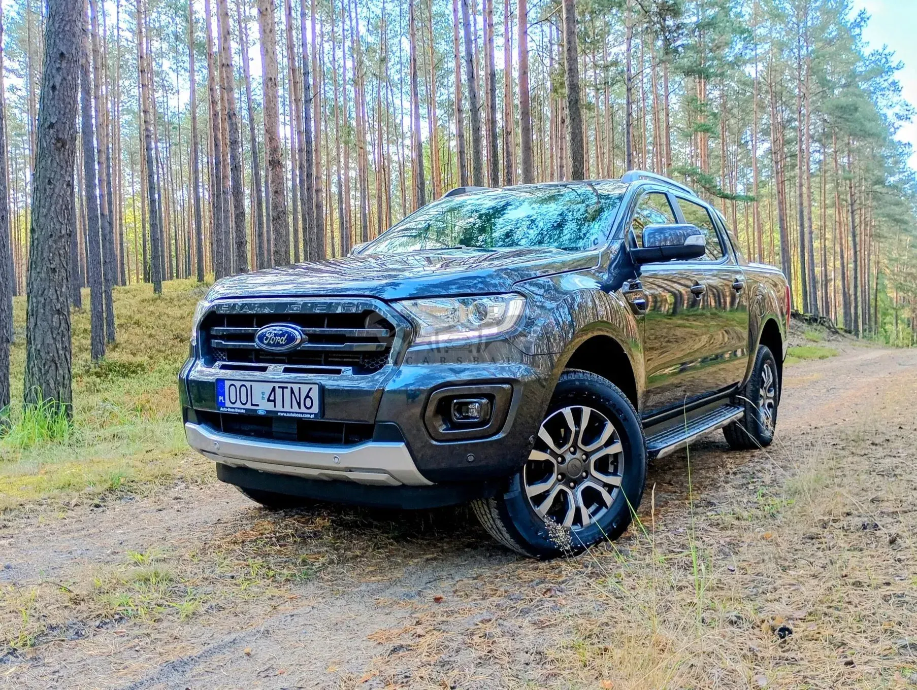Ford Ranger 2.0 EcoBlue 4x4 DC Wildtrak 2020