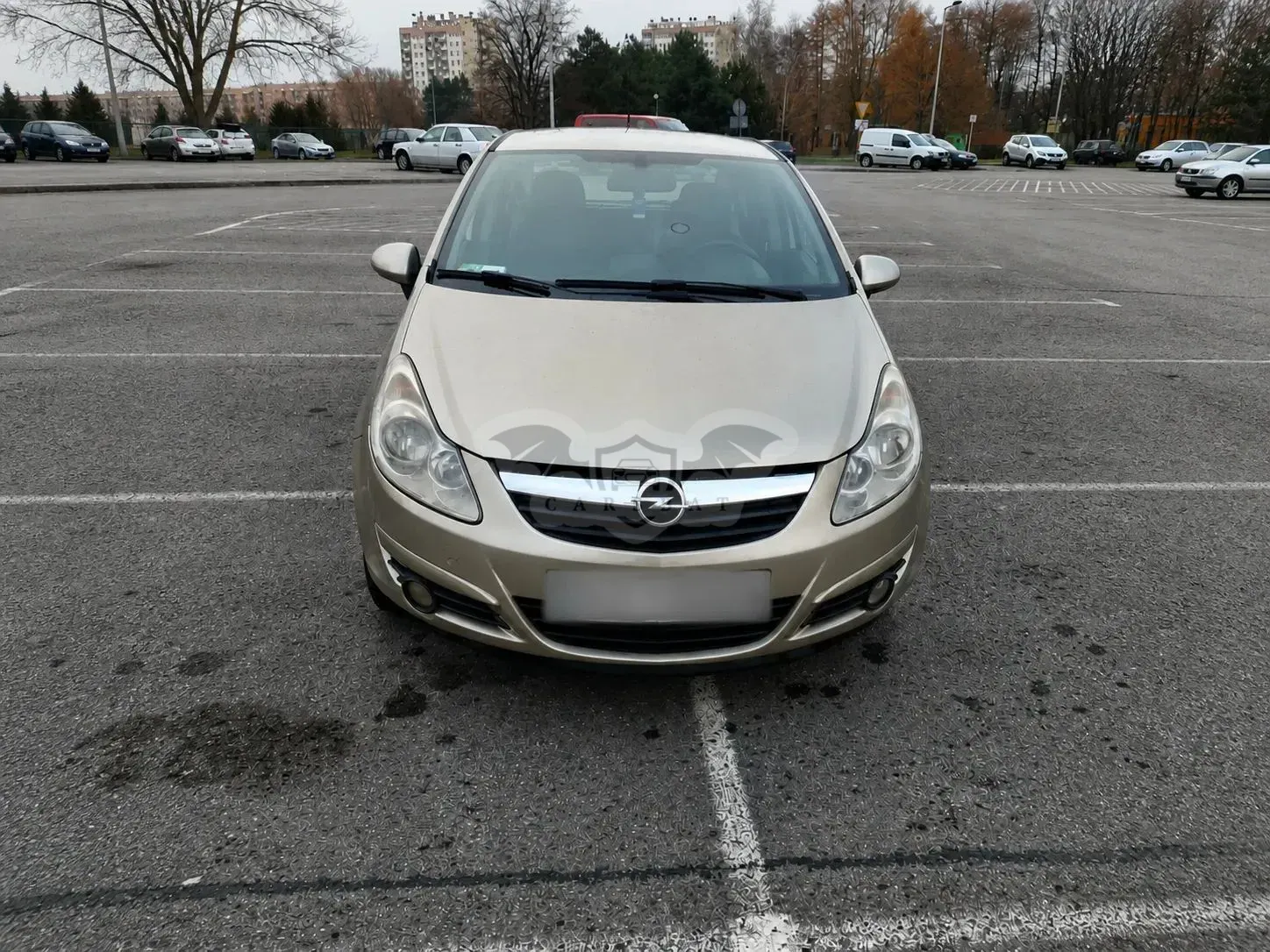 Opel Corsa D (2006-2014) 1.3 CDTI DPF Cosmo 2009