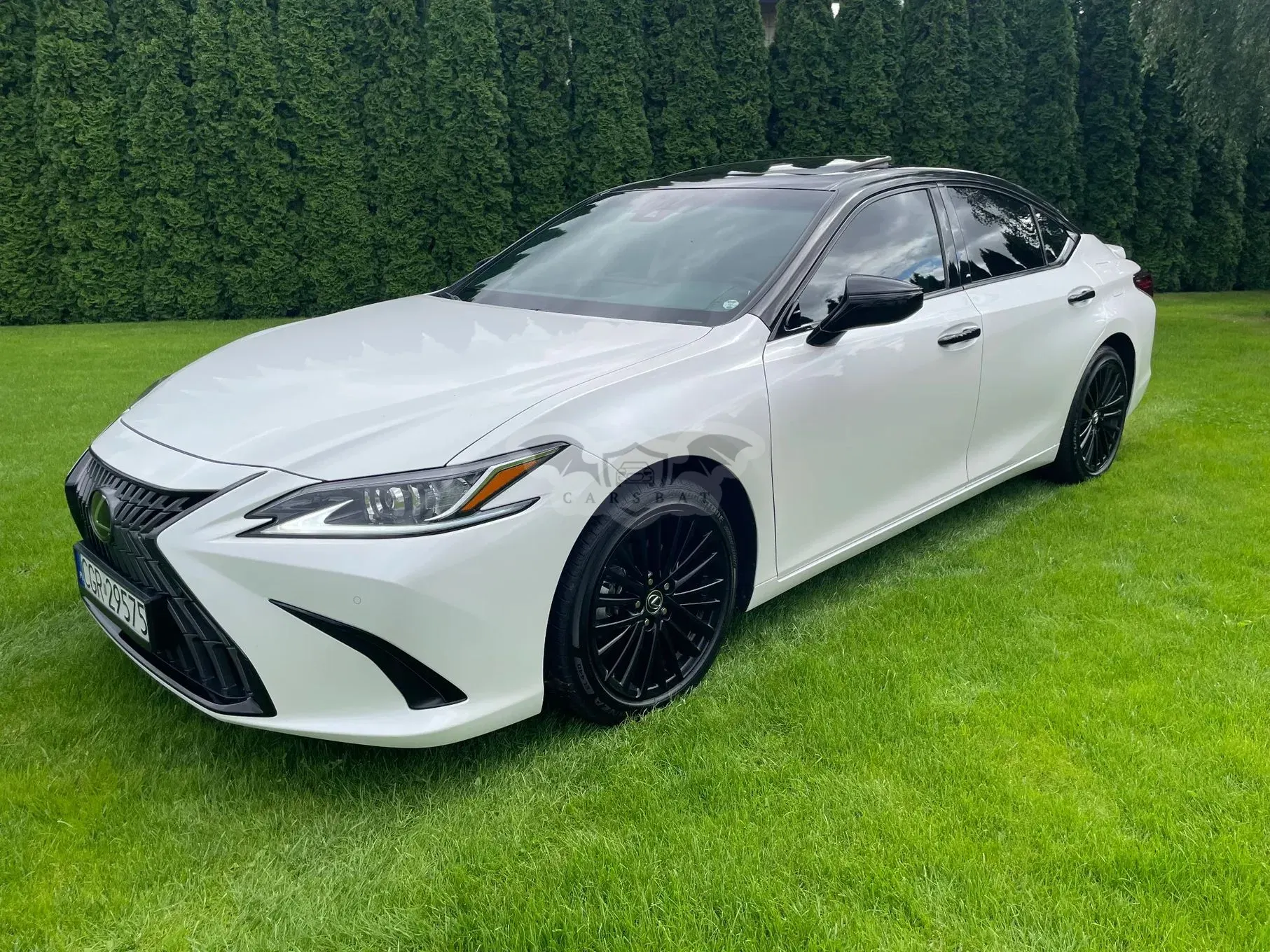 Lexus ES 300h Business Edition + 2023
