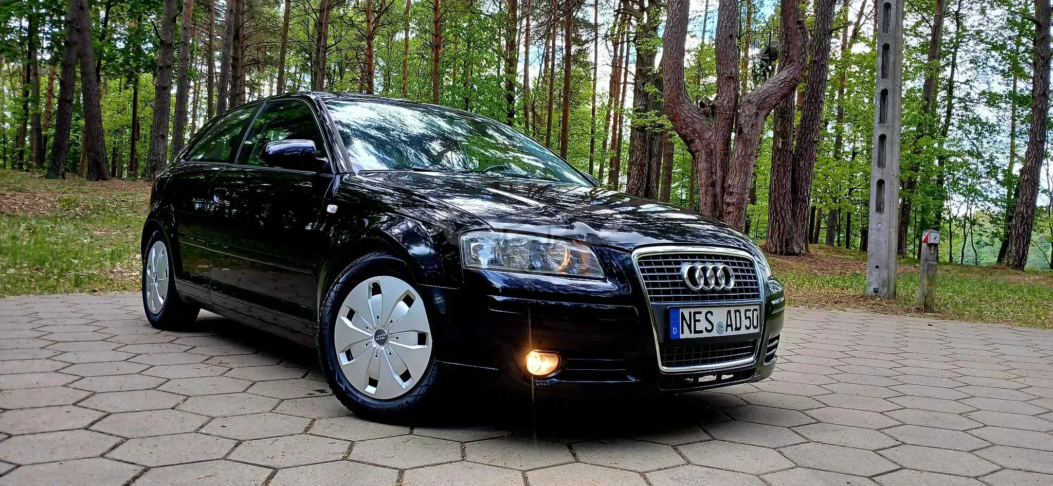 Audi A3 8P (2003-2012) 1.6 Attraction 2006