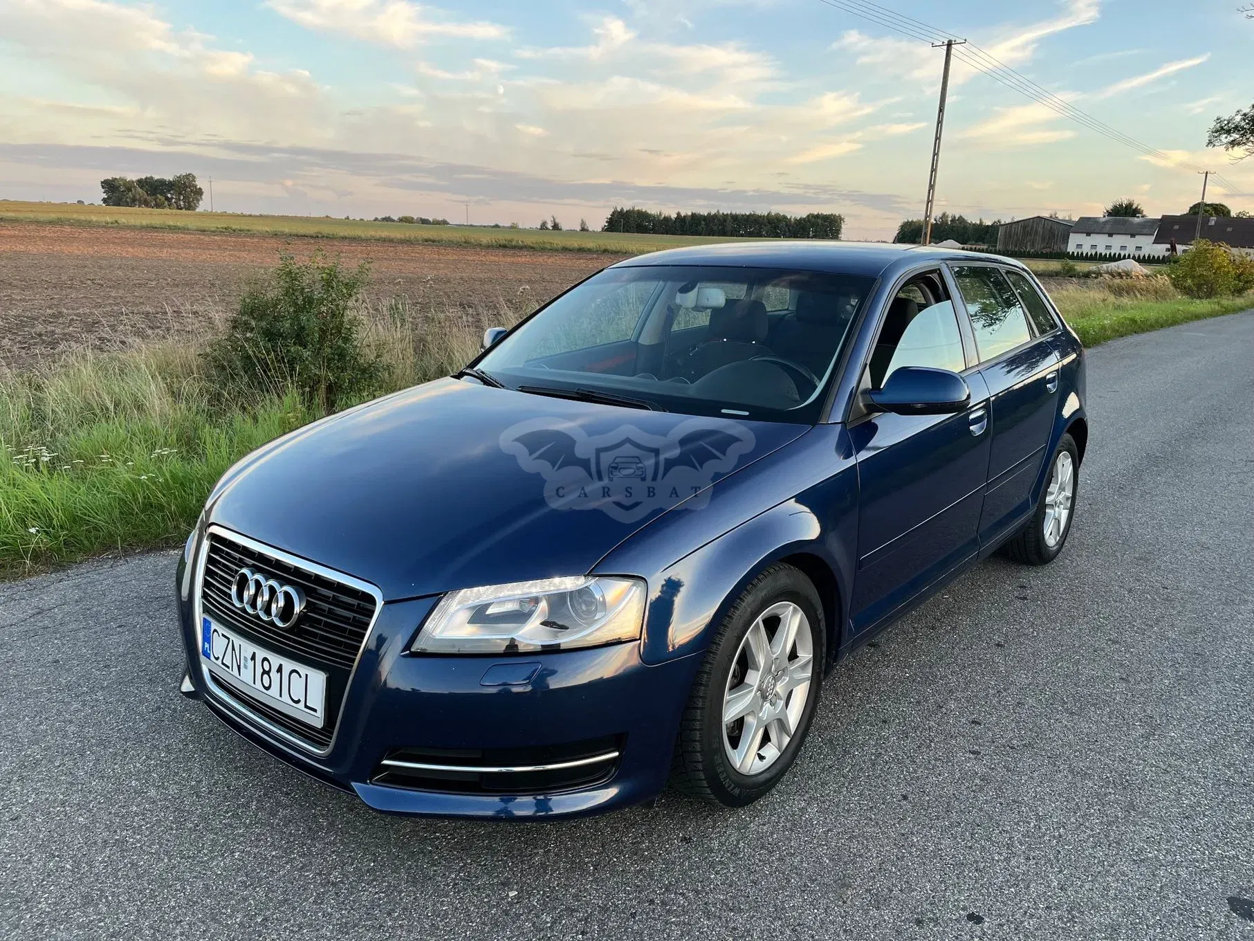 Audi A3 8P (2003-2012) 2.0 TDI DPF Ambiente 2010