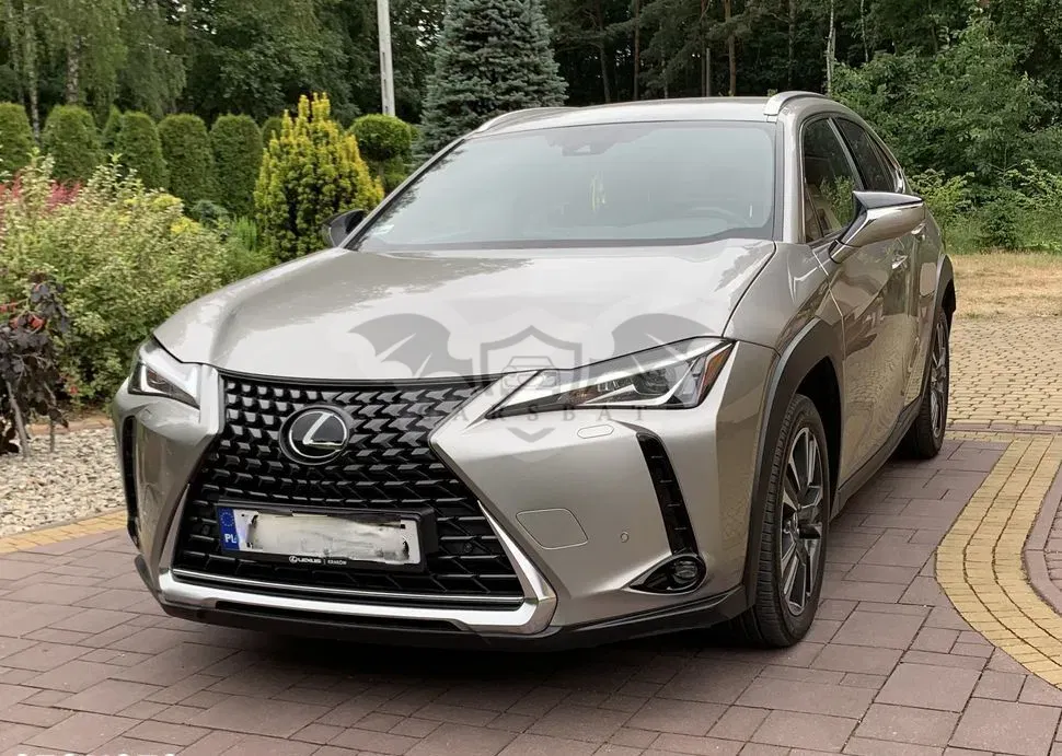 Lexus UX 2019