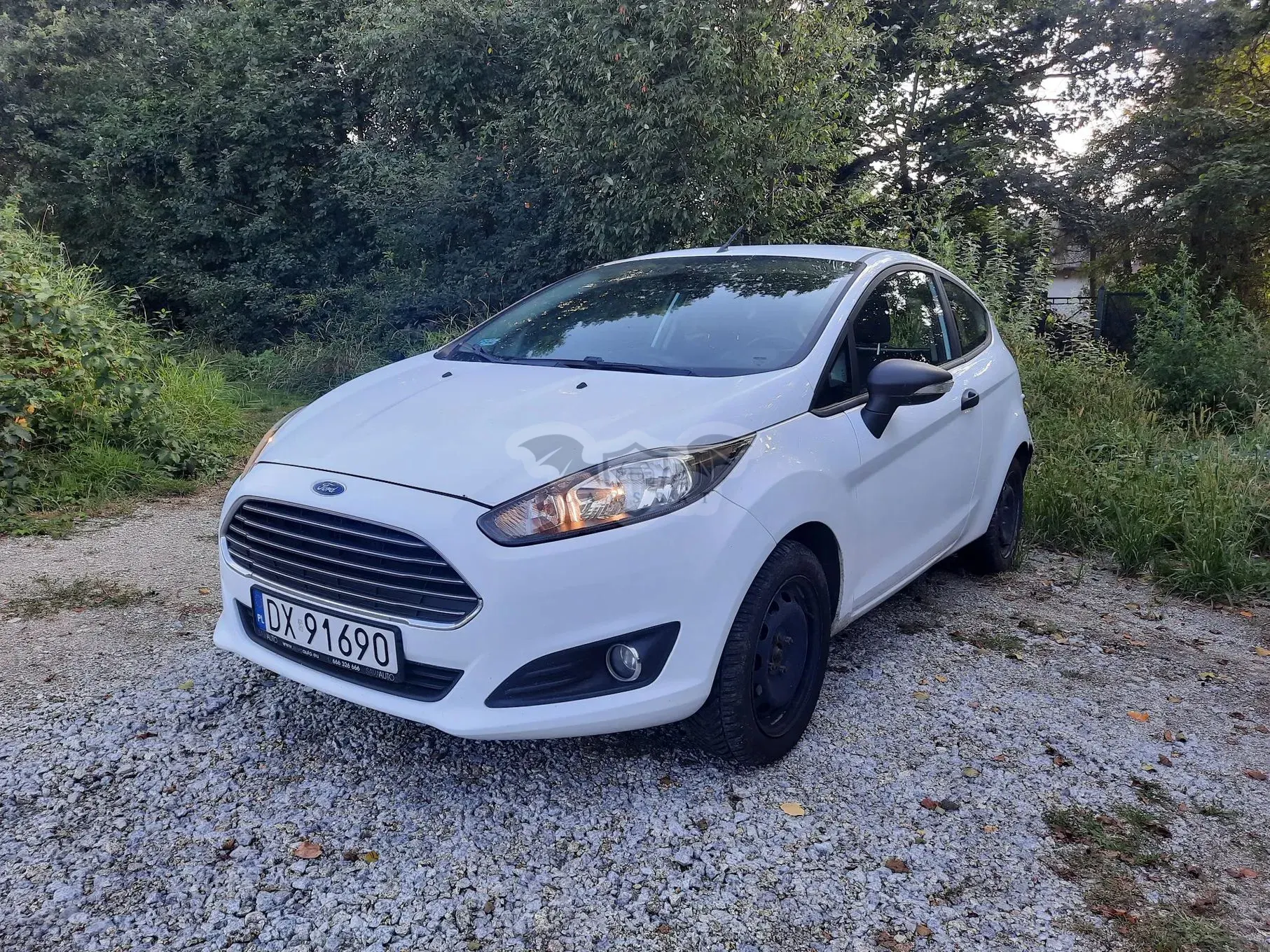 Ford Fiesta Mk7 (2008-) 1.5 TDCi Trend 2015