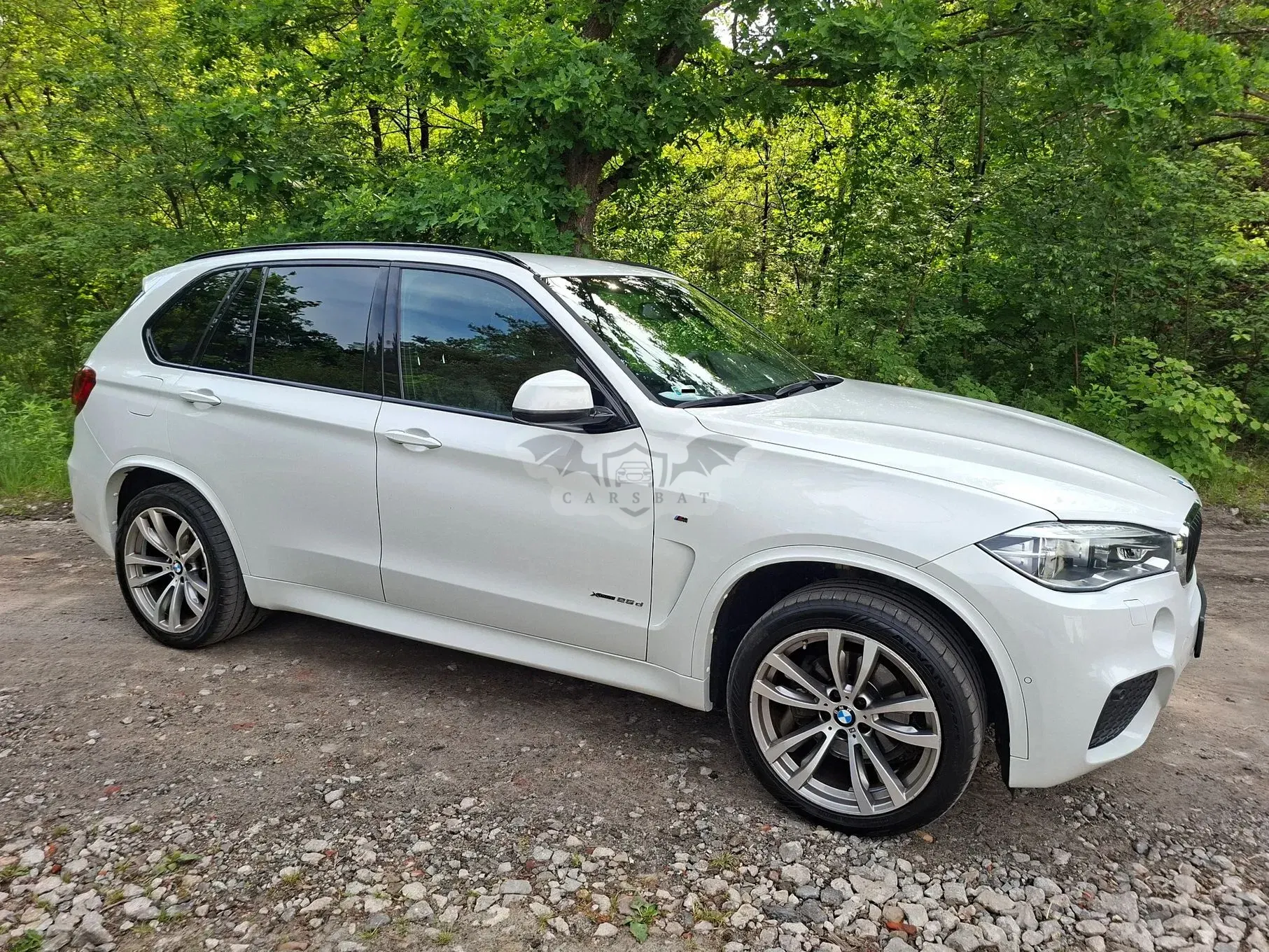 BMW X5 F15 (2013-2018) xDrive25d sport 2018