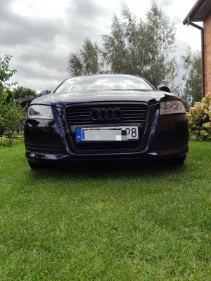 Audi A3 8P (2003-2012) 1.6 Ambition 2008
