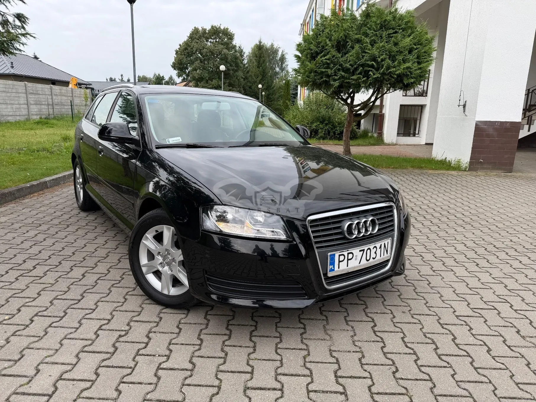 Audi A3 8P (2003-2012) 1.6 Ambition 2010