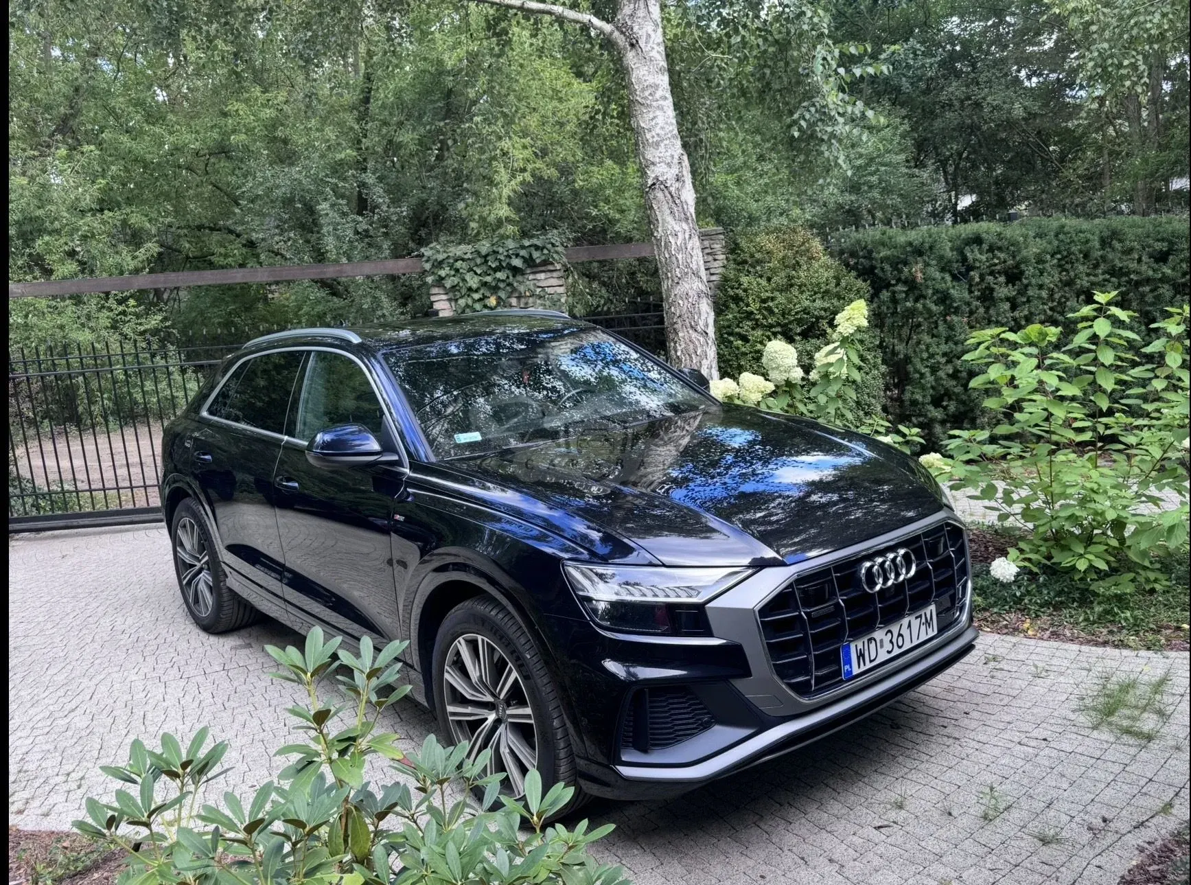 Audi Q8 50 TDI mHEV Quattro Tiptronic 2018