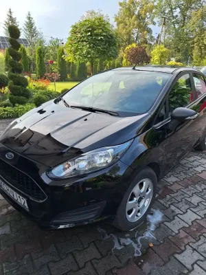 Ford Fiesta Mk7 (2008-) 1.25 Celebration 2017