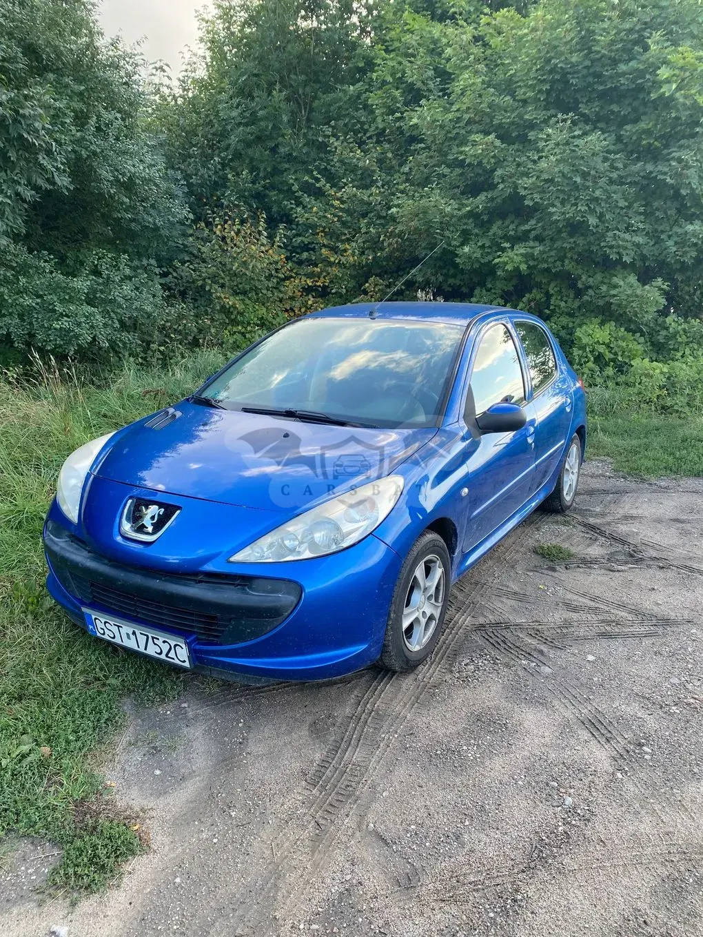 Peugeot 206 2009
