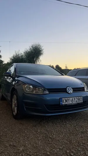 Volkswagen Golf VII (2012-2020) 2014