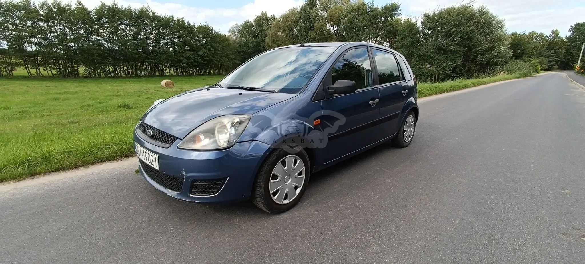 Ford Fiesta Mk6 (2002-2008) 1.3 Blues 2005