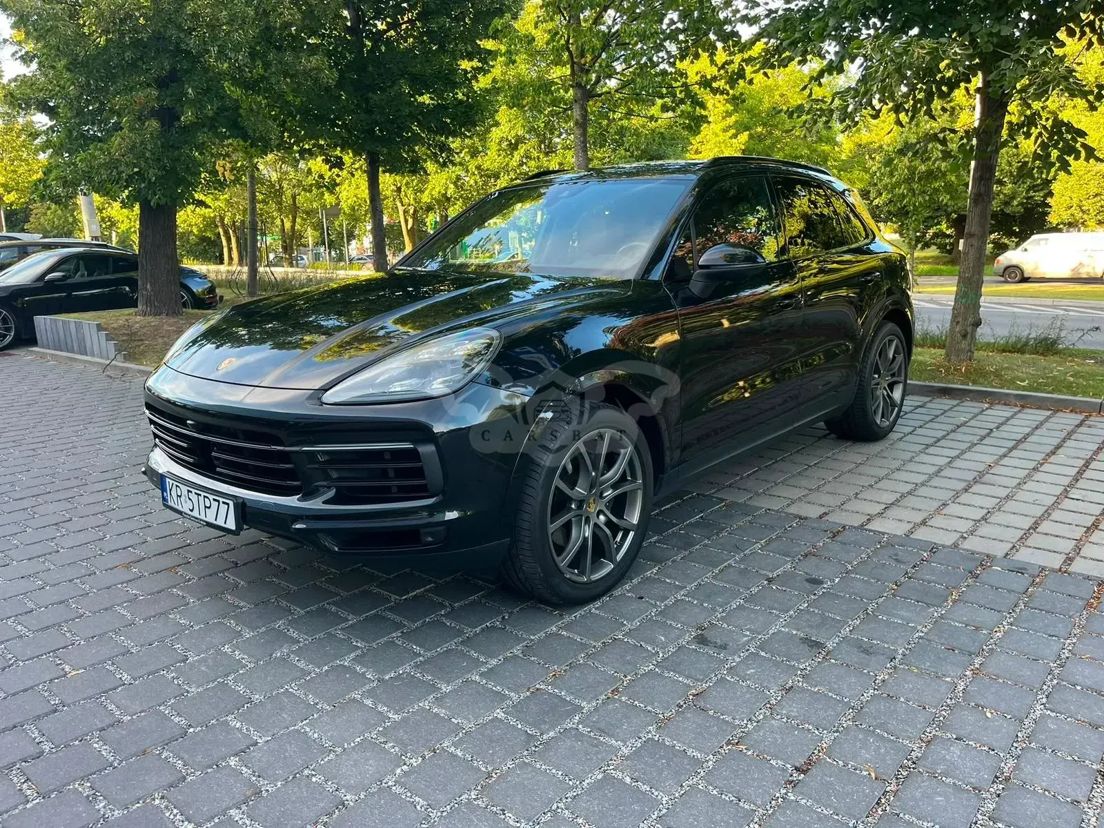 Porsche Cayenne III (2017-) Platinum Edition 2020