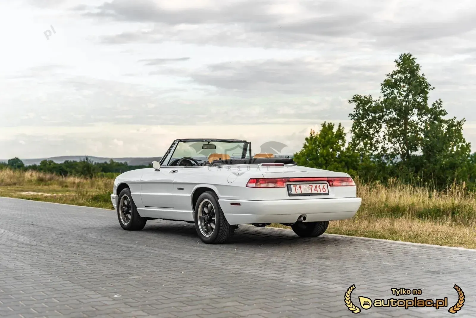 Alfa Romeo Spider 2.0 1990
