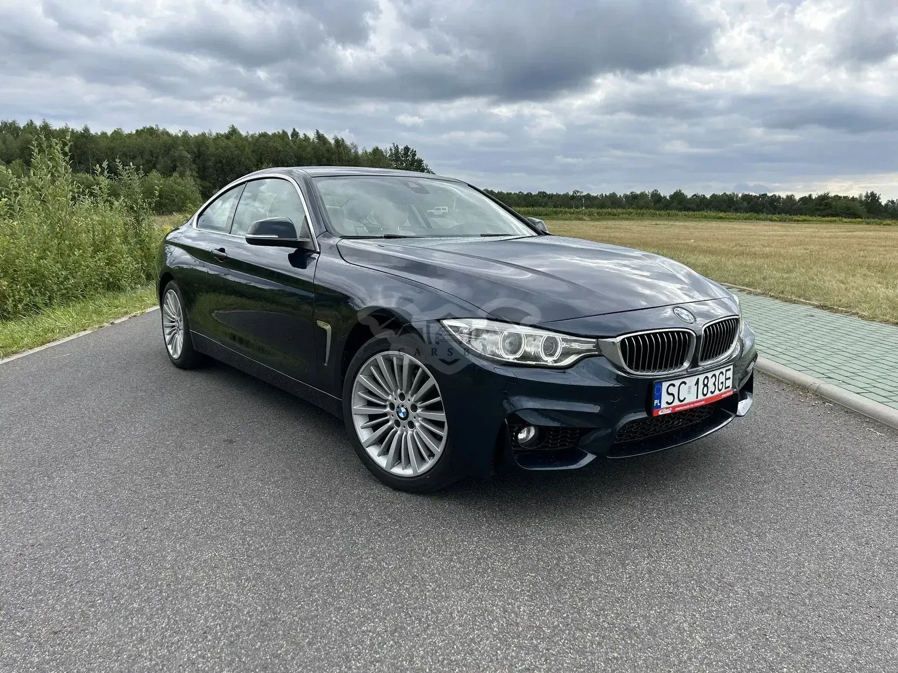 BMW 4 Series I F32/F33/F82 (2013-2020) 420d Luxury Line 2014