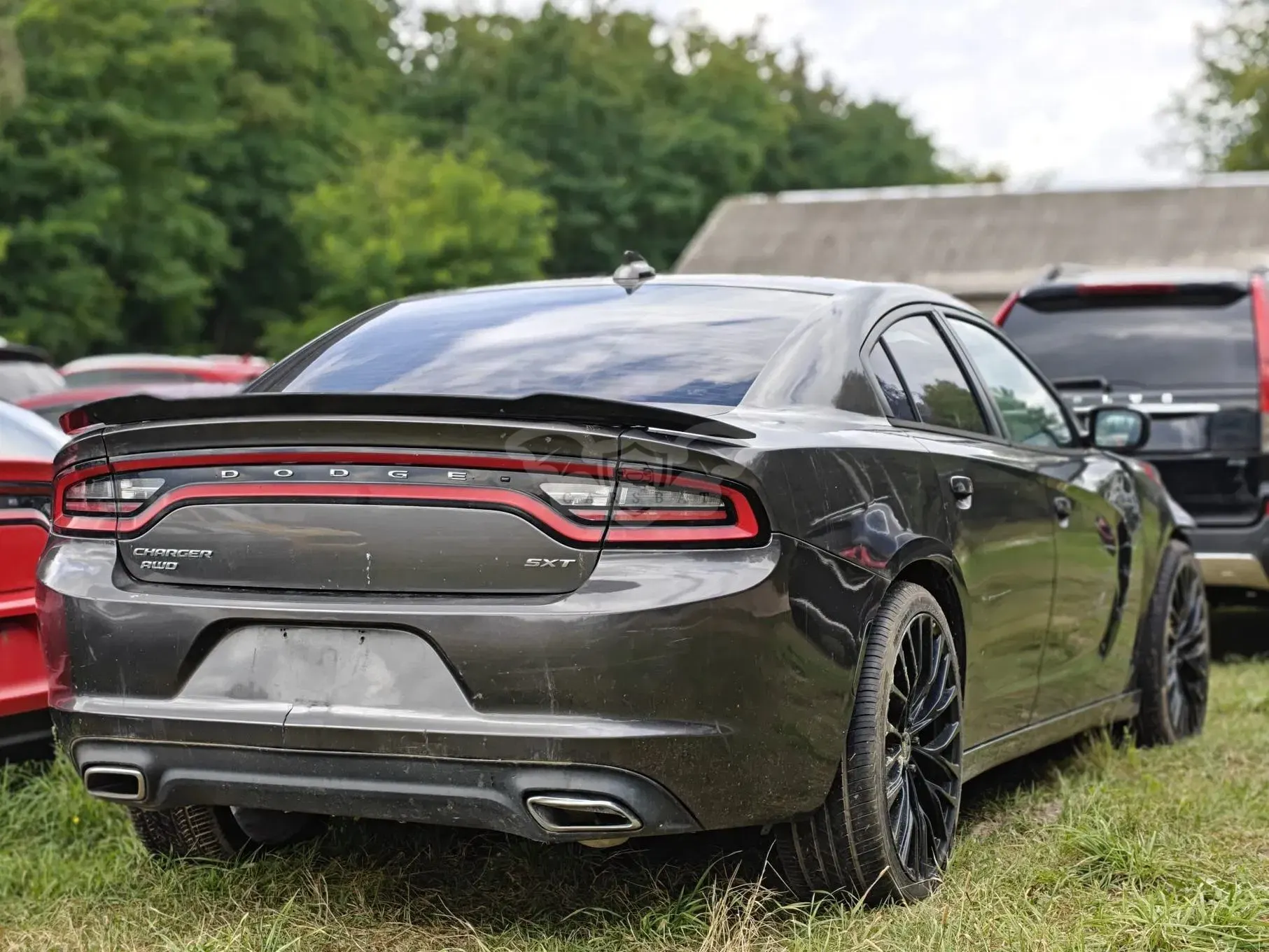 Dodge Charger Automatik Rally 2015