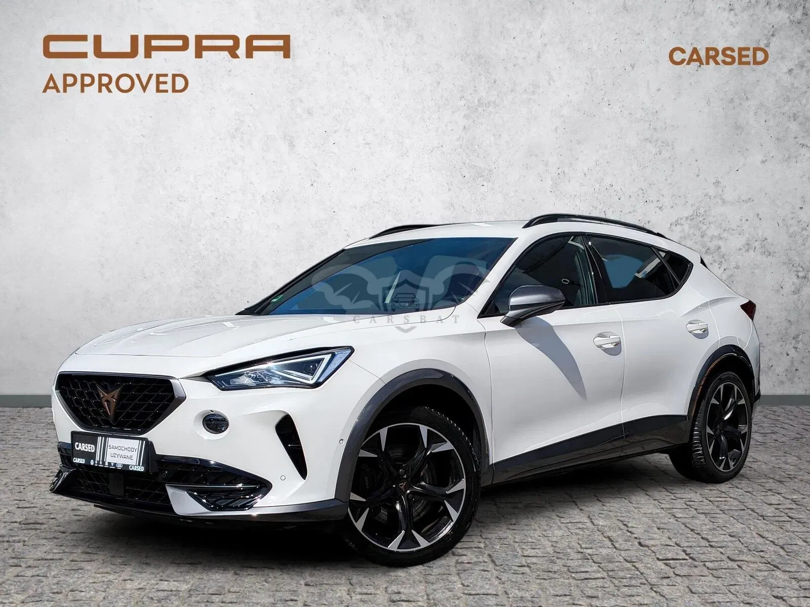 Cupra Formentor 2.0 TSI 4Drive VZ DSG 2024