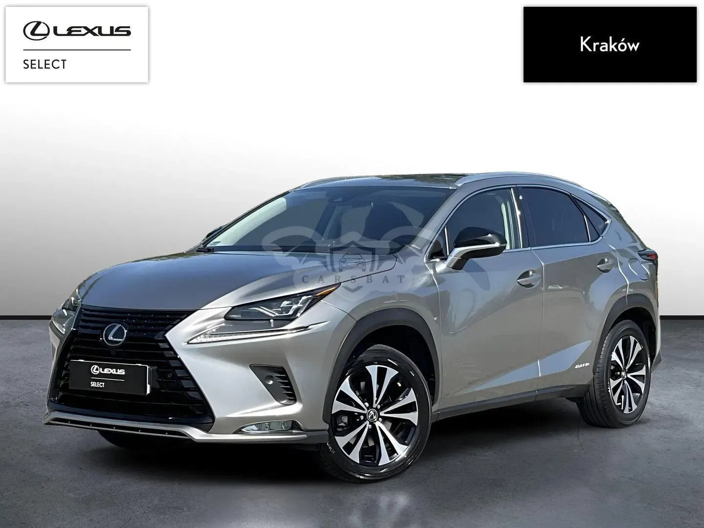 Lexus NX I (2014-2021) 300h F Impression AWD 2020
