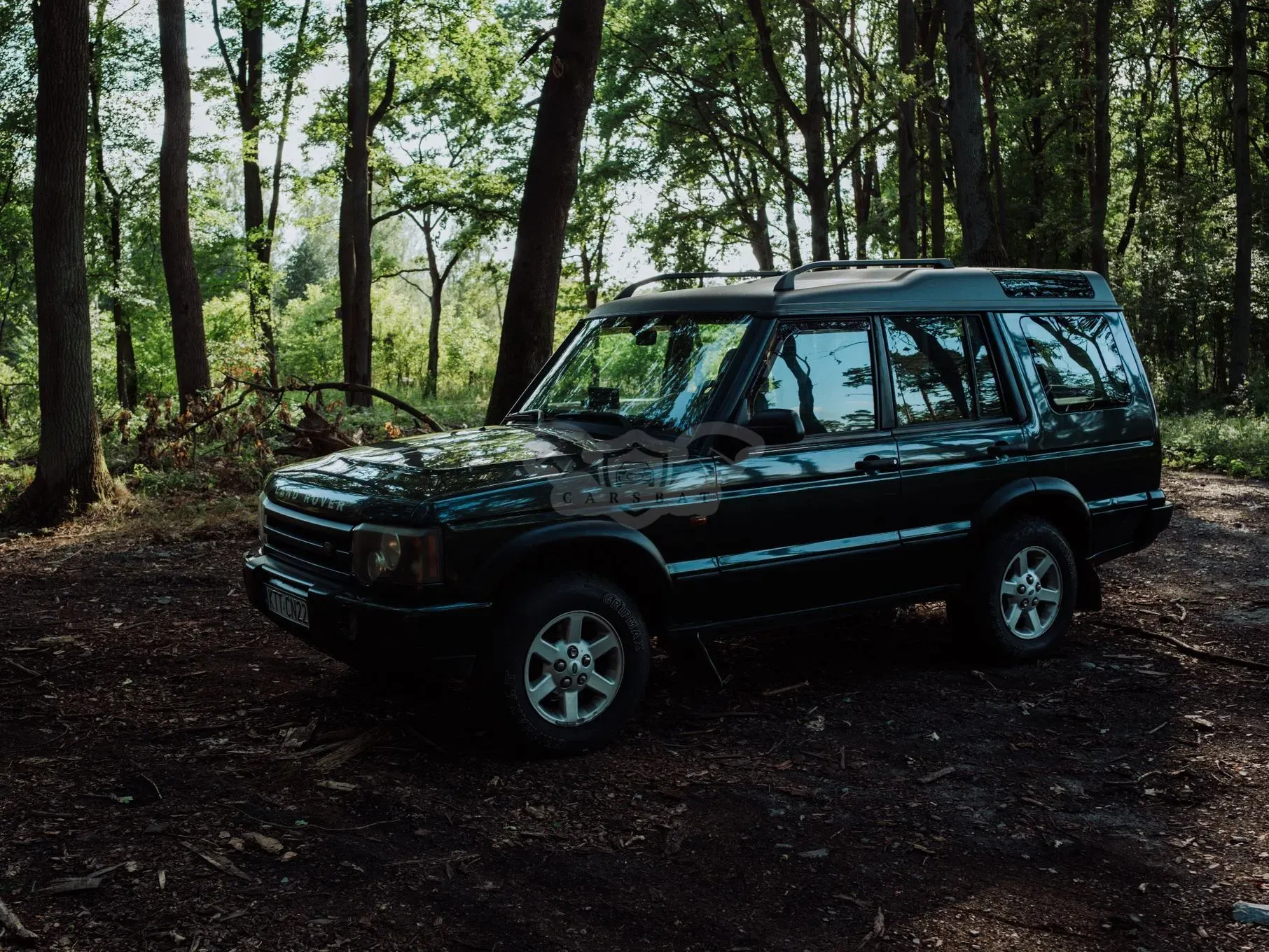 Land Rover Discovery II (1998-2004) 4.0 V8 E 2002
