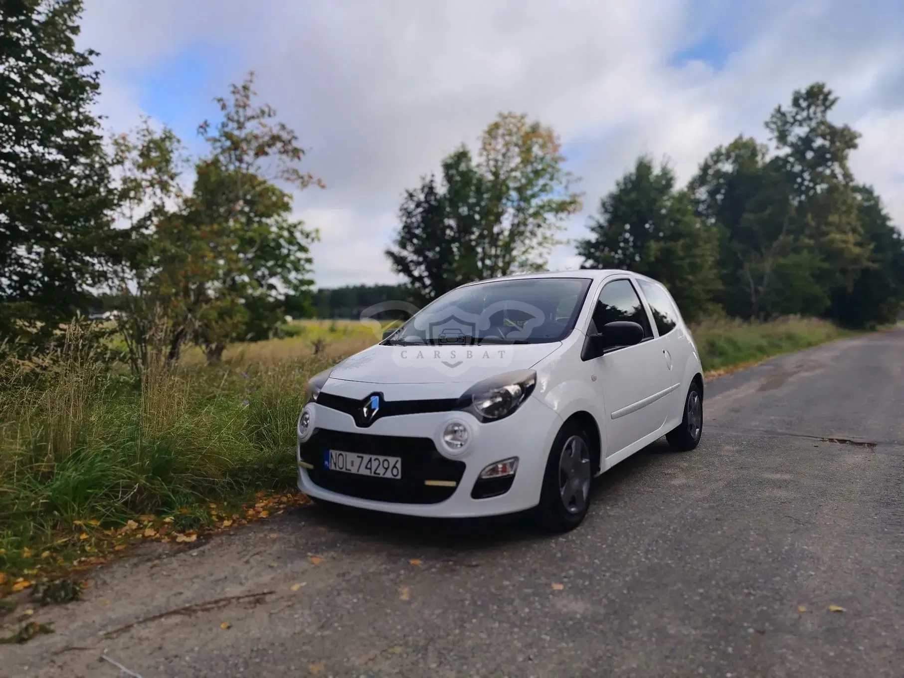 Renault Twingo II (2007-2014) 1.2 16V Access 2012