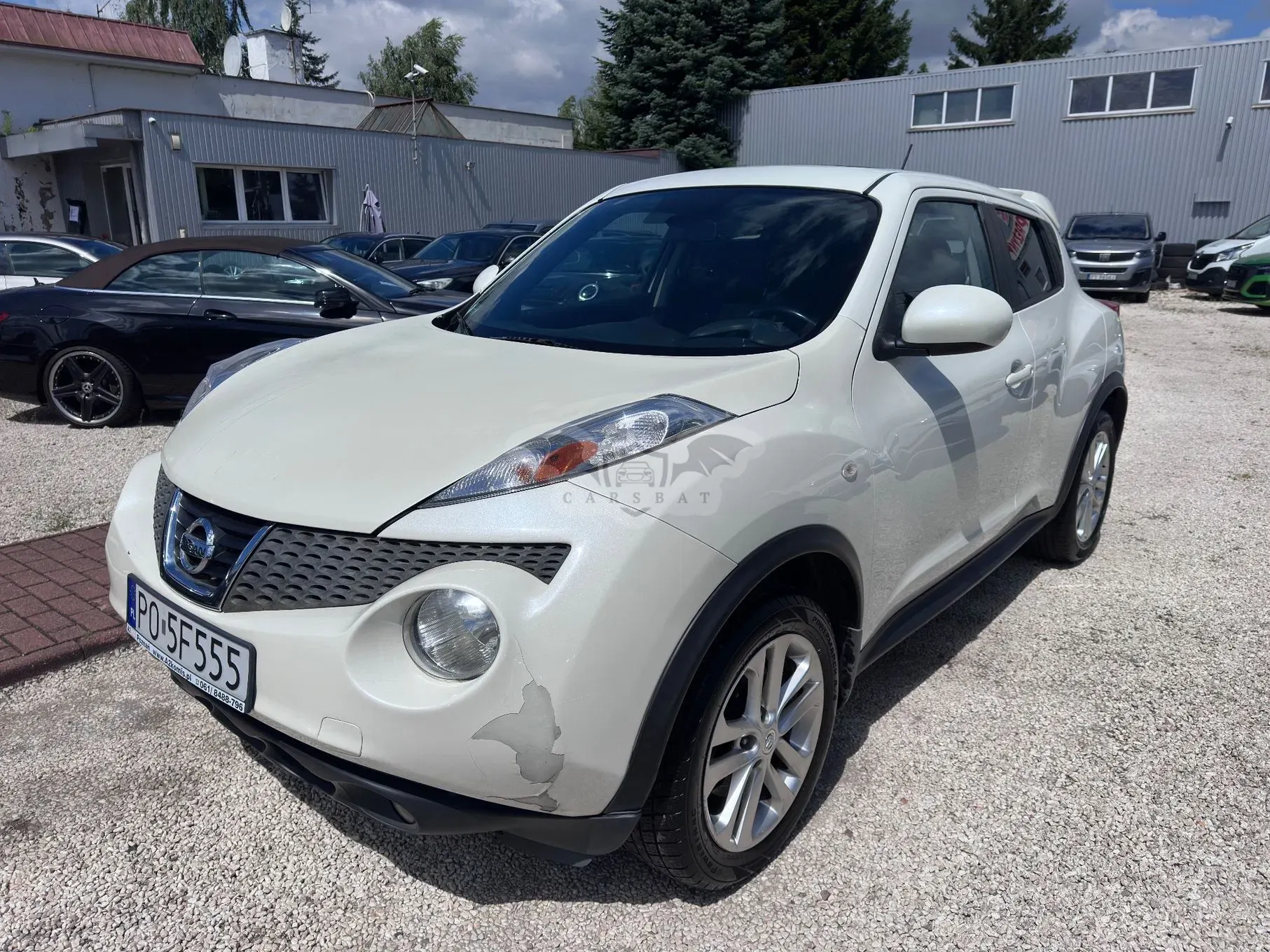 Nissan Juke I (2010-2019) 2013