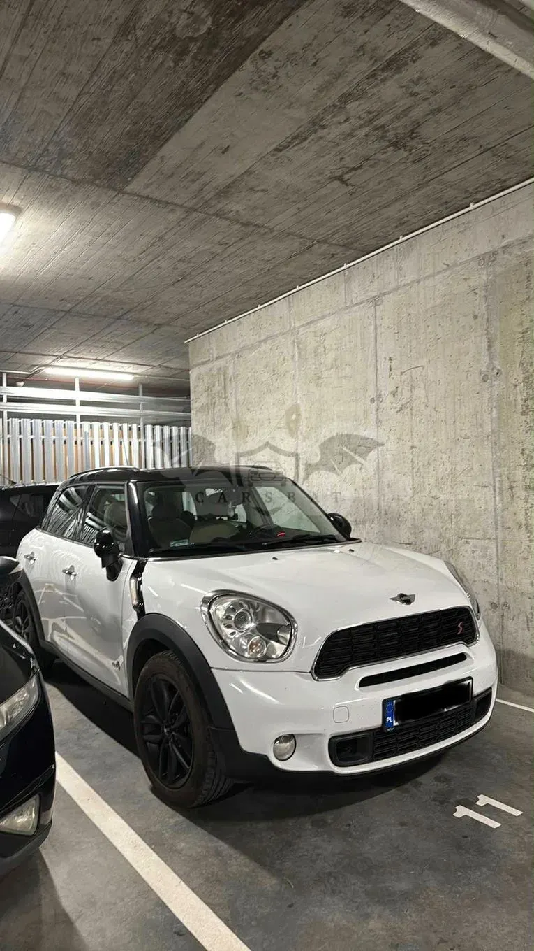 Mini Countryman 2010