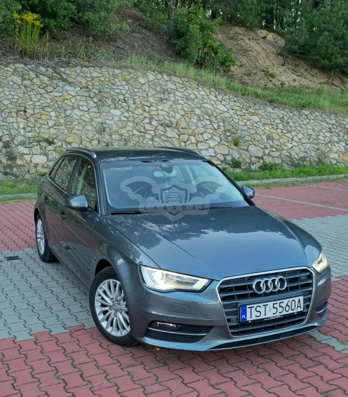 Audi A3 8V (2012-) 2.0 TDI 2016