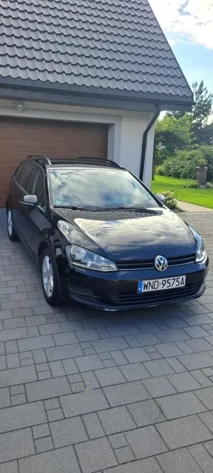 Volkswagen Golf VII (2012-2020) 2015