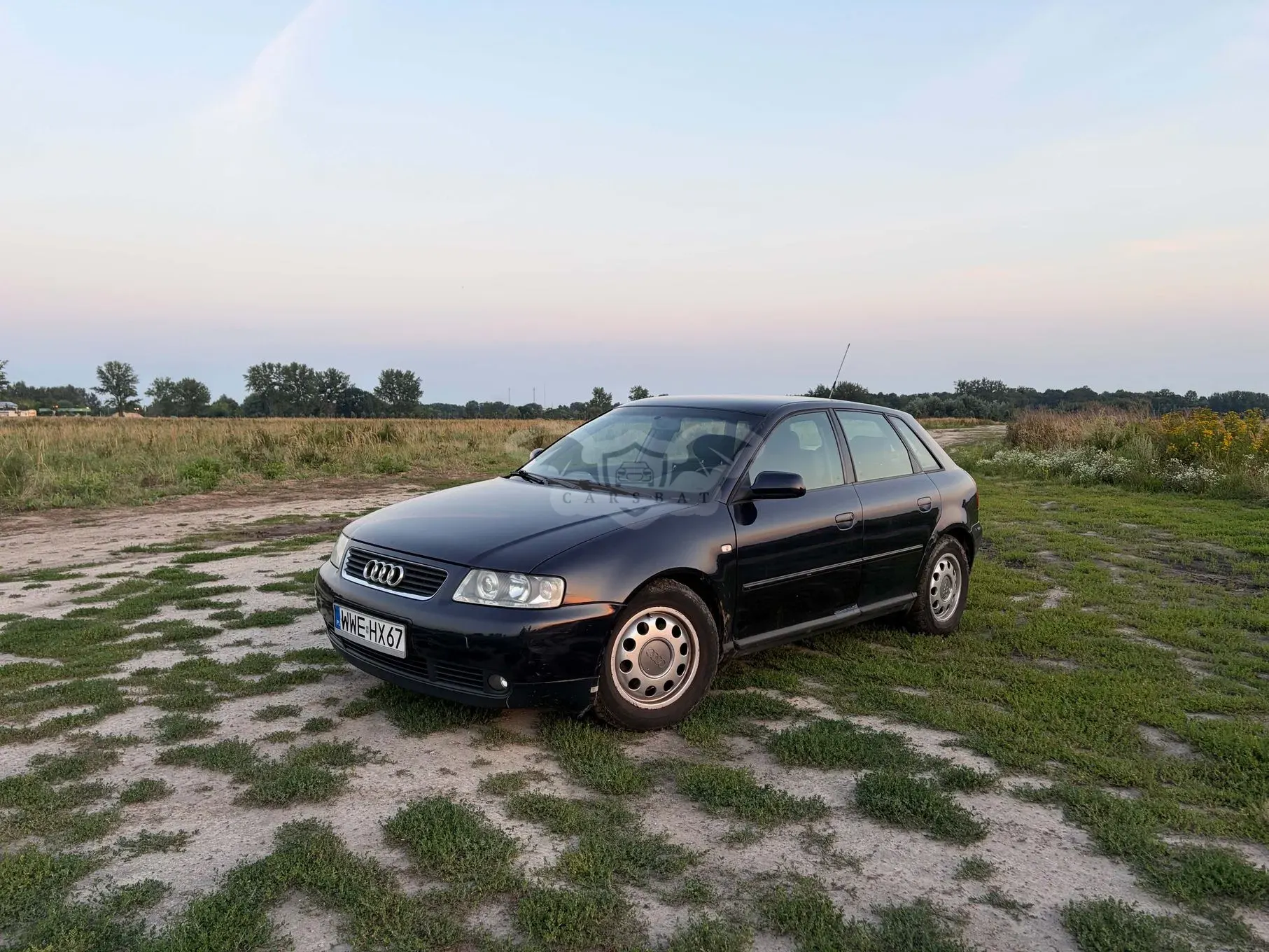 Audi A3 8L (1996-2003) 1.9 TDI Ambiente 2003