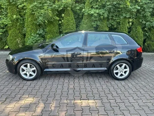 Audi A3 8P (2003-2012) 1.9 TDI Ambition 2007