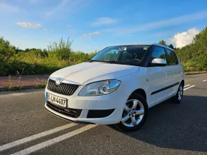 Skoda Fabia II (2007-2014) 1.6 TDI DPF Family 2012
