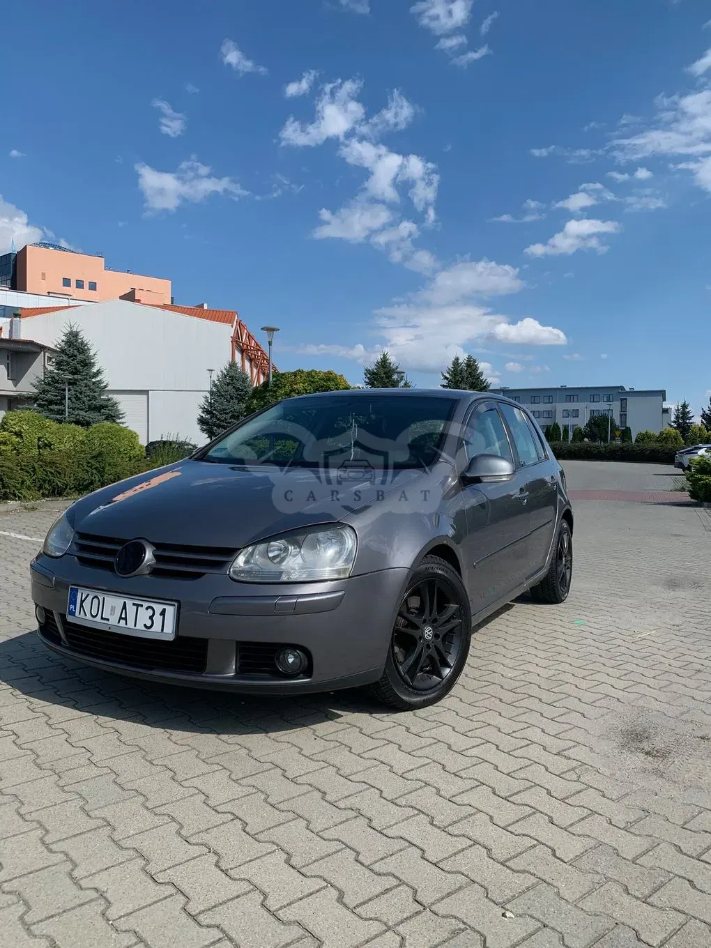Volkswagen Golf V (2003-2009) 1.9 TDI Goal 2006