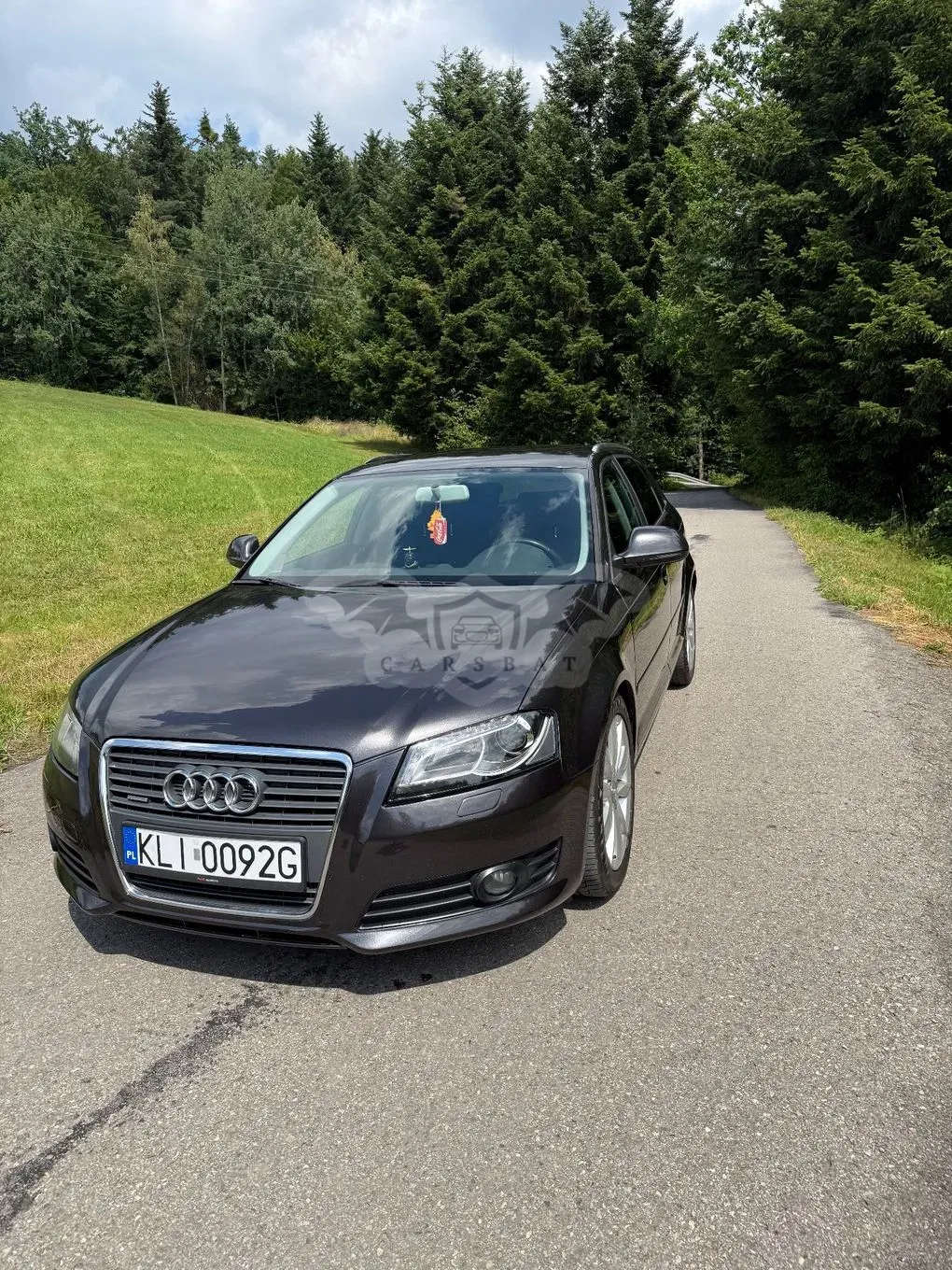 Audi A3 8P (2003-2012) 2.0 TDI DPF quattro Ambiente 2008