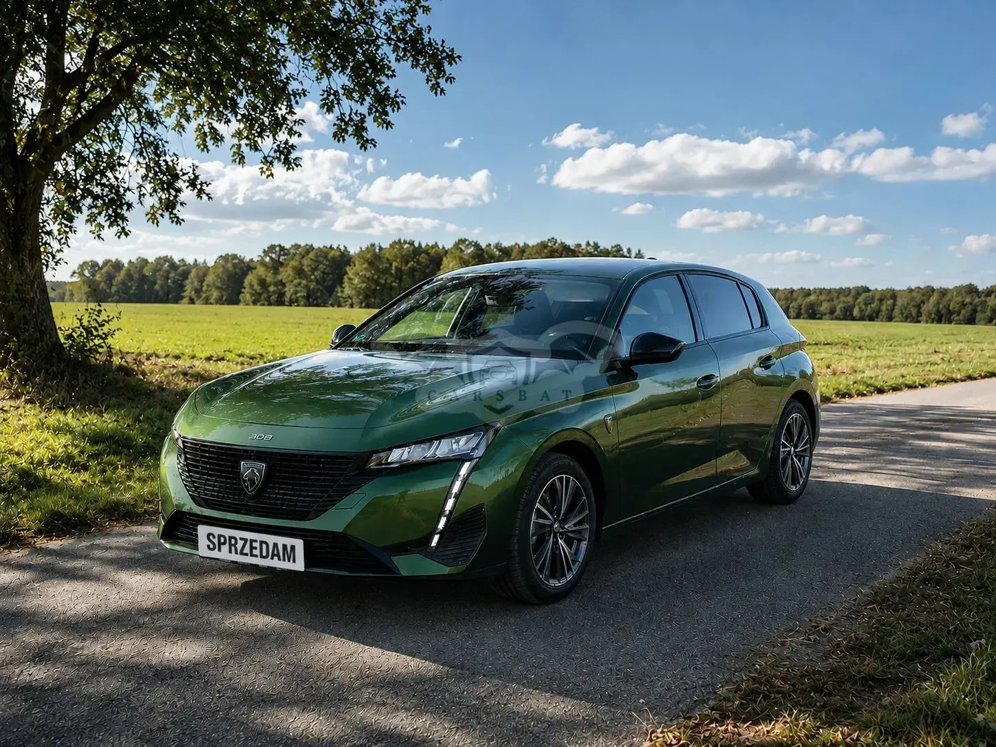 Peugeot 308 P5 (2021-) PureTech 130 GPF Stop & Start Active Business-Paket 2022